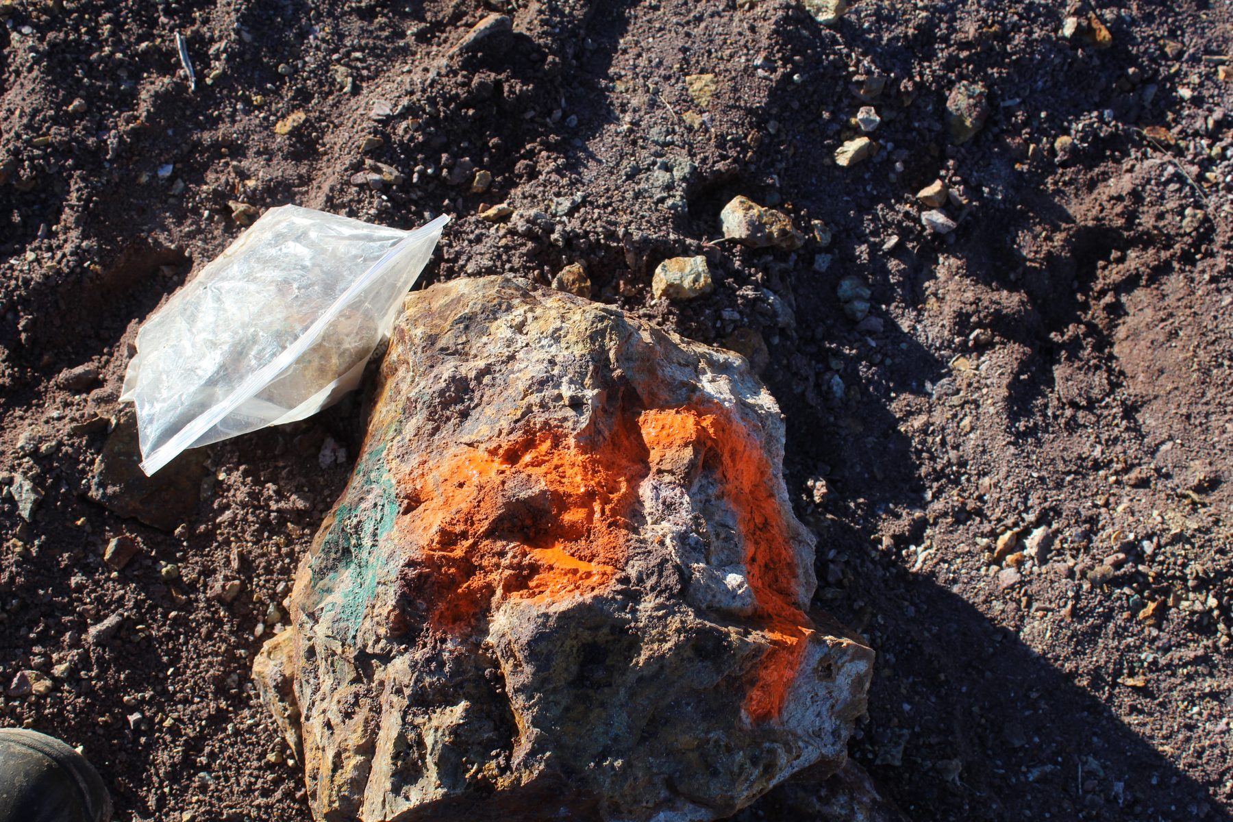 Altered rock with vivid blue and green copper mineral staining across fractured surfaces