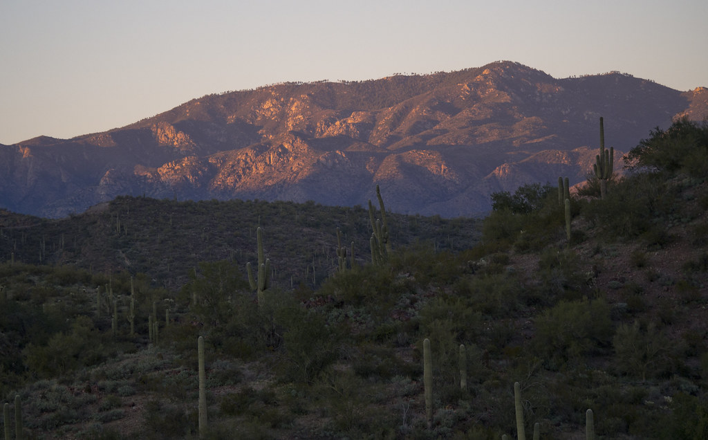 Marigold #1 — Bradshaw Mountains