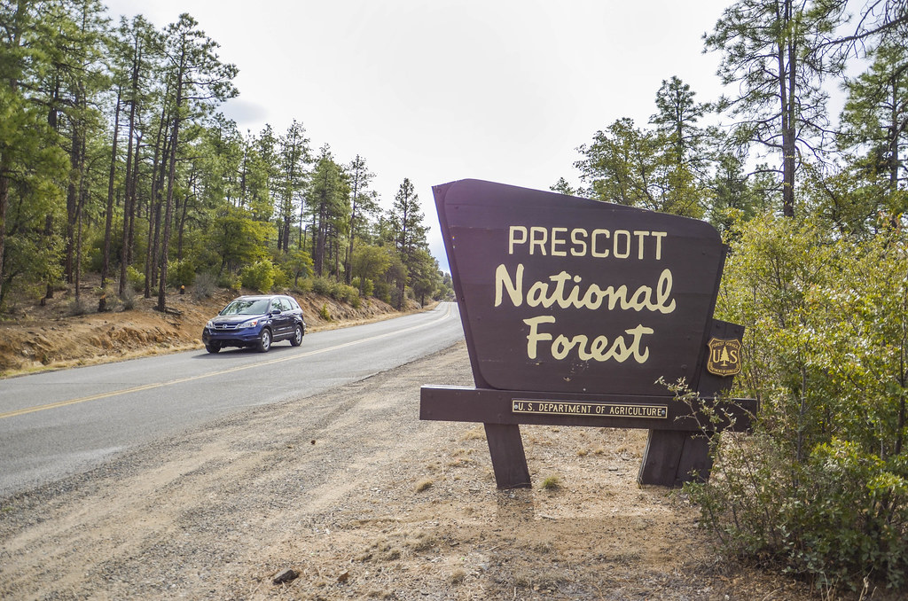 Marigold #1 — Prescott National Forest country