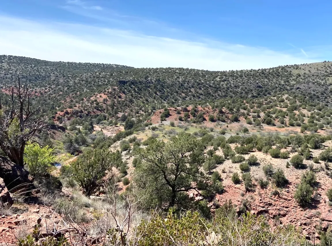 Sedona Legend #11 — juniper hills west of Sedona