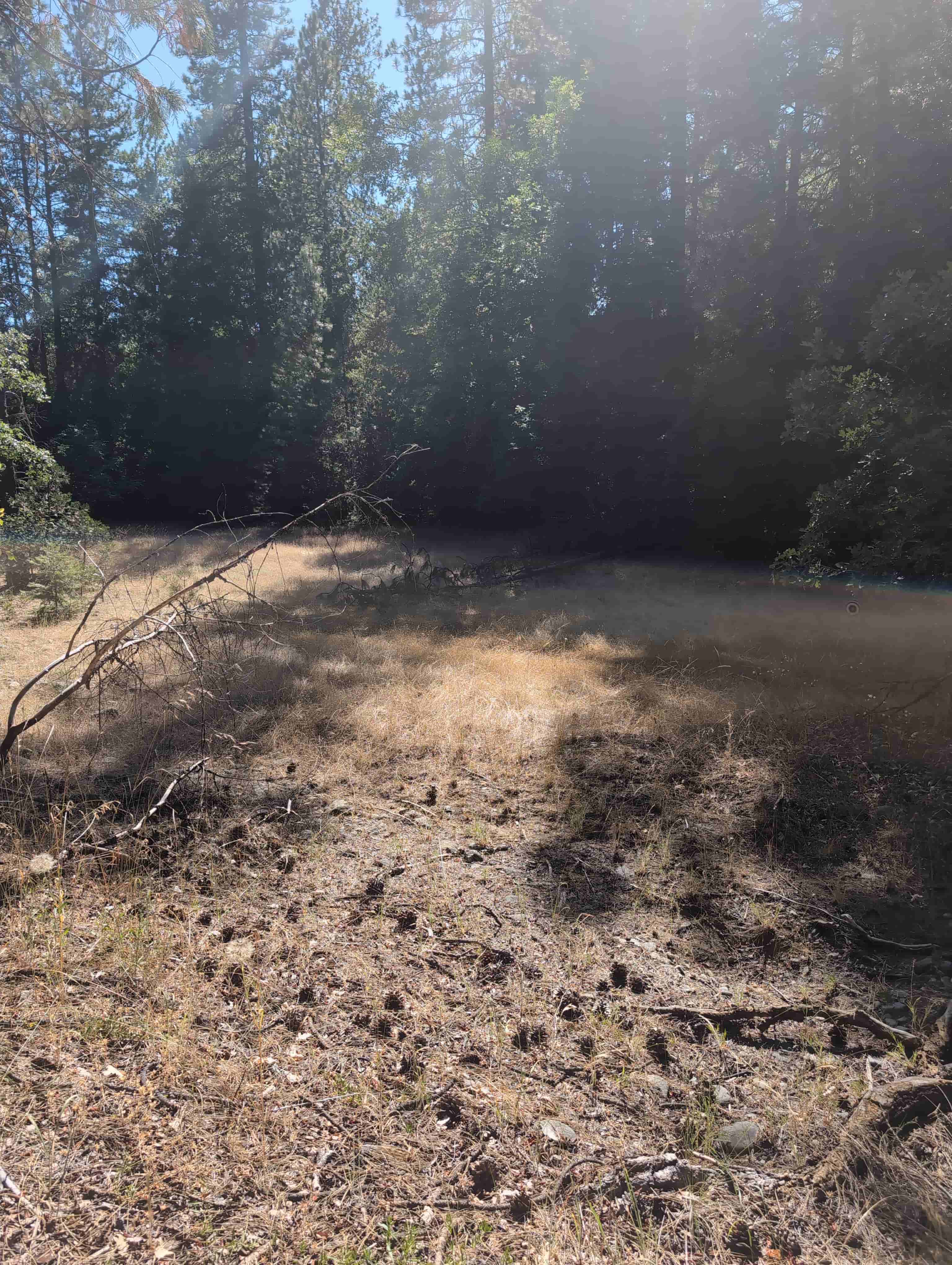 The Golden Trinity Claim — site photograph 164021_819