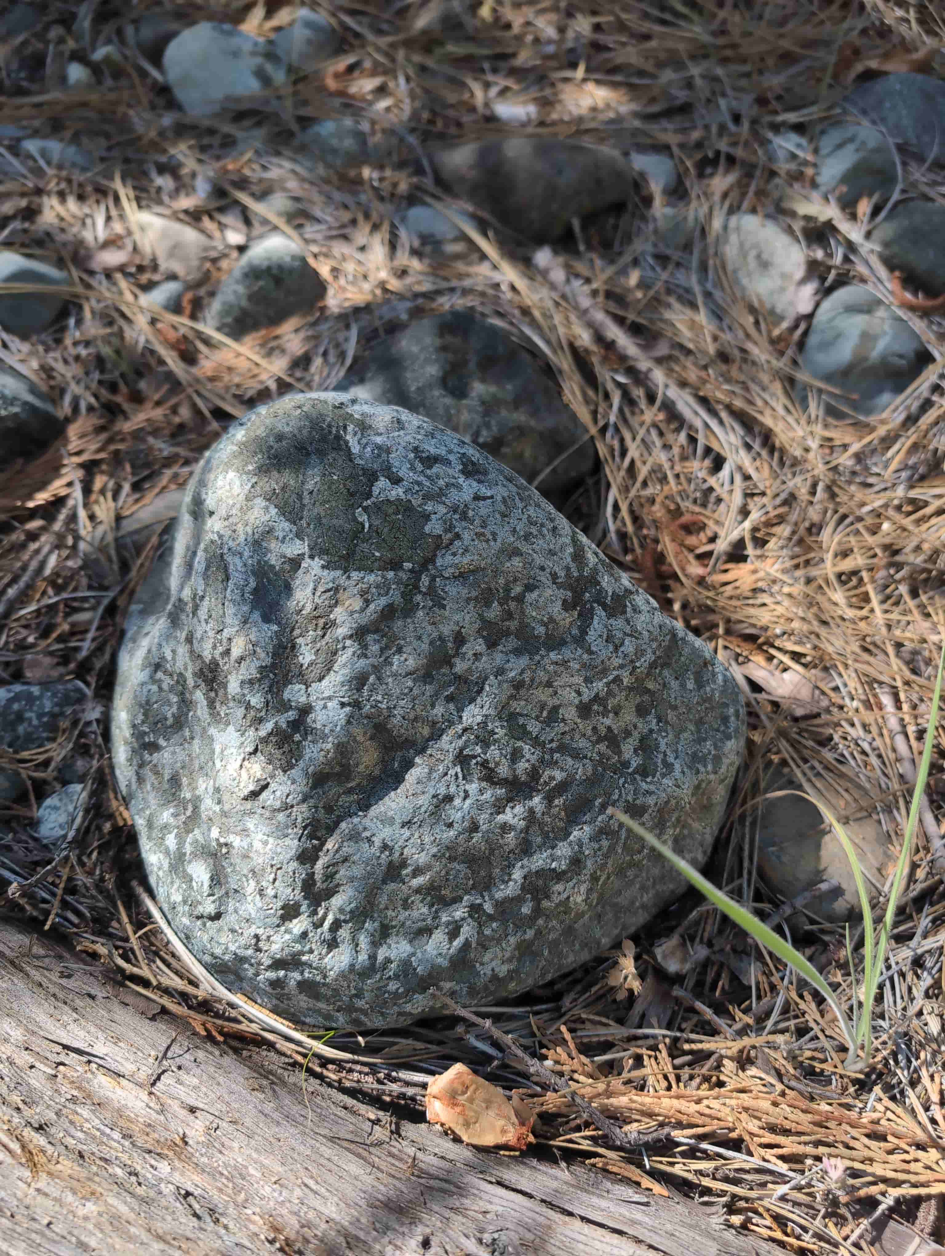 The Golden Trinity Claim — site photograph 164054_377