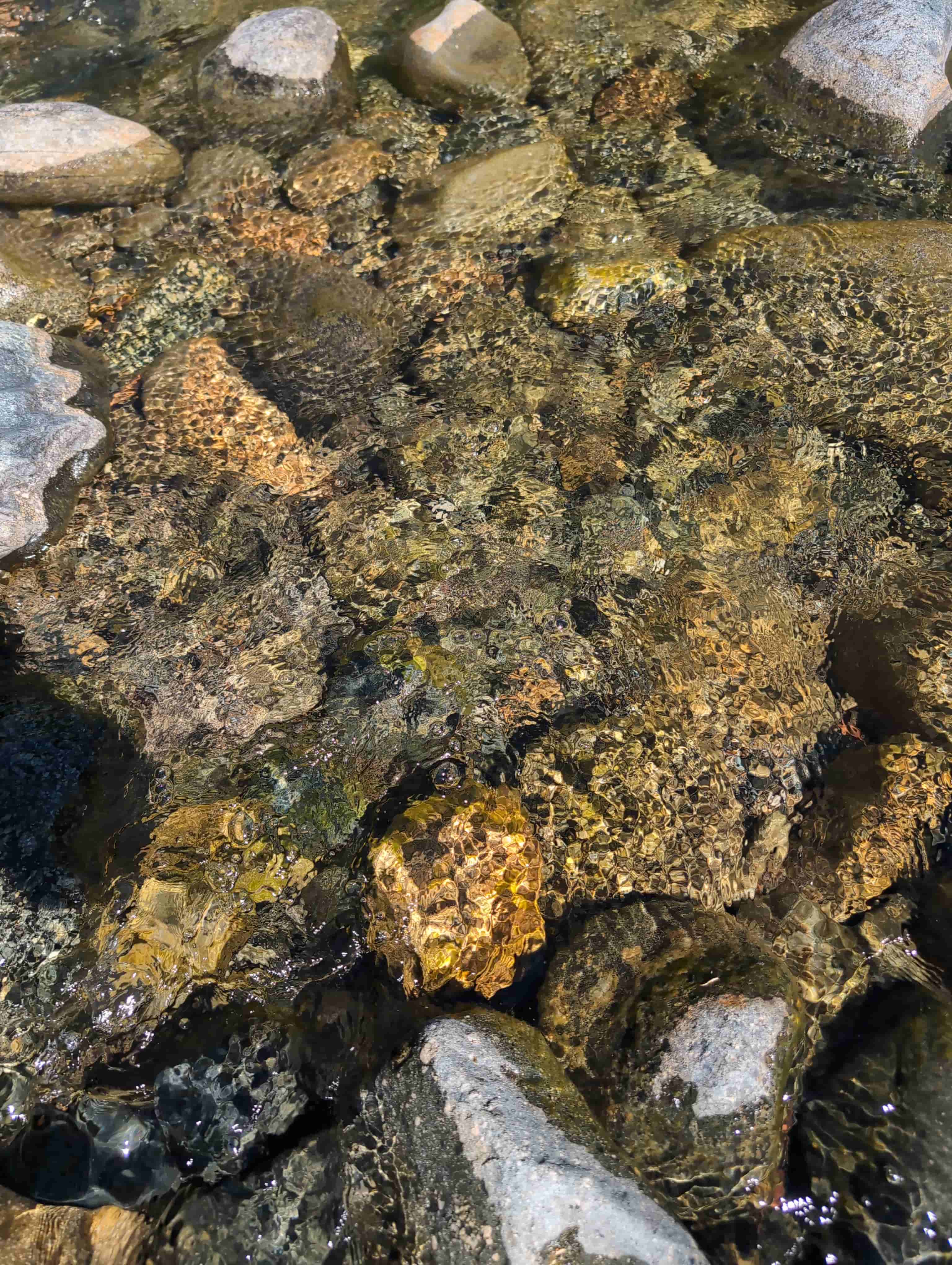 The Golden Trinity Claim — site photograph 165255_925