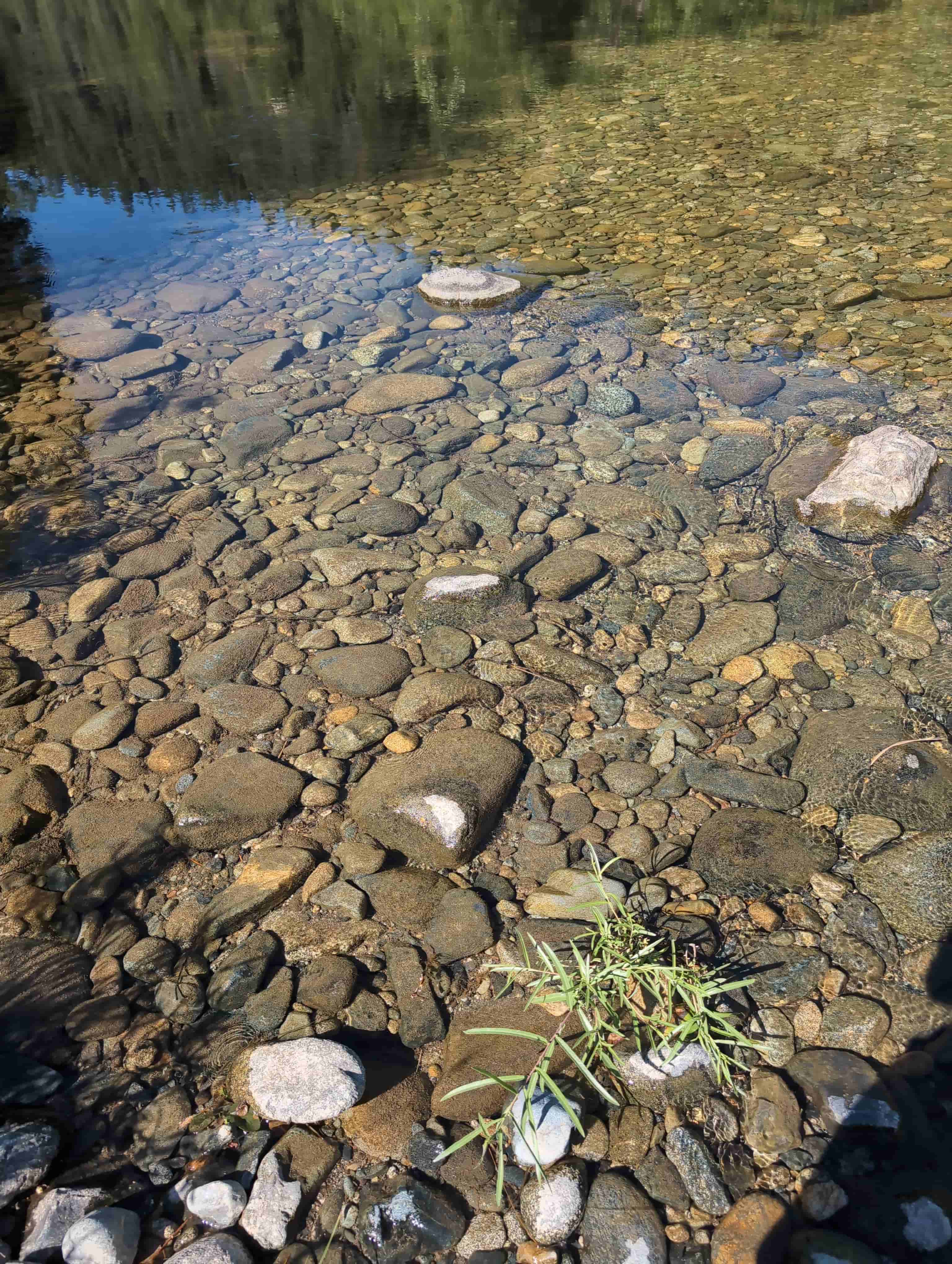 The Golden Trinity Claim — site photograph 165352_055