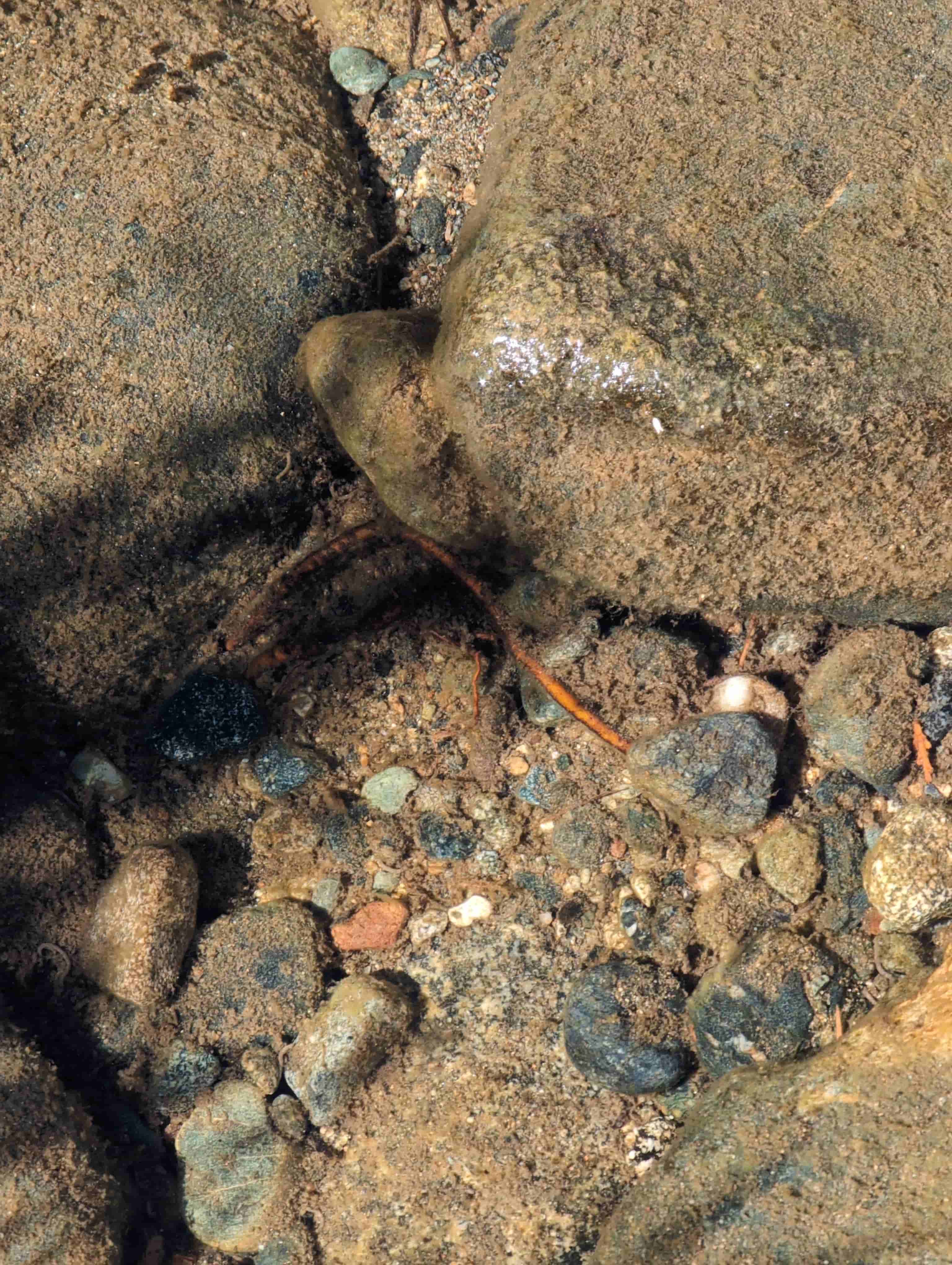 The Golden Trinity Claim — site photograph 165411_291