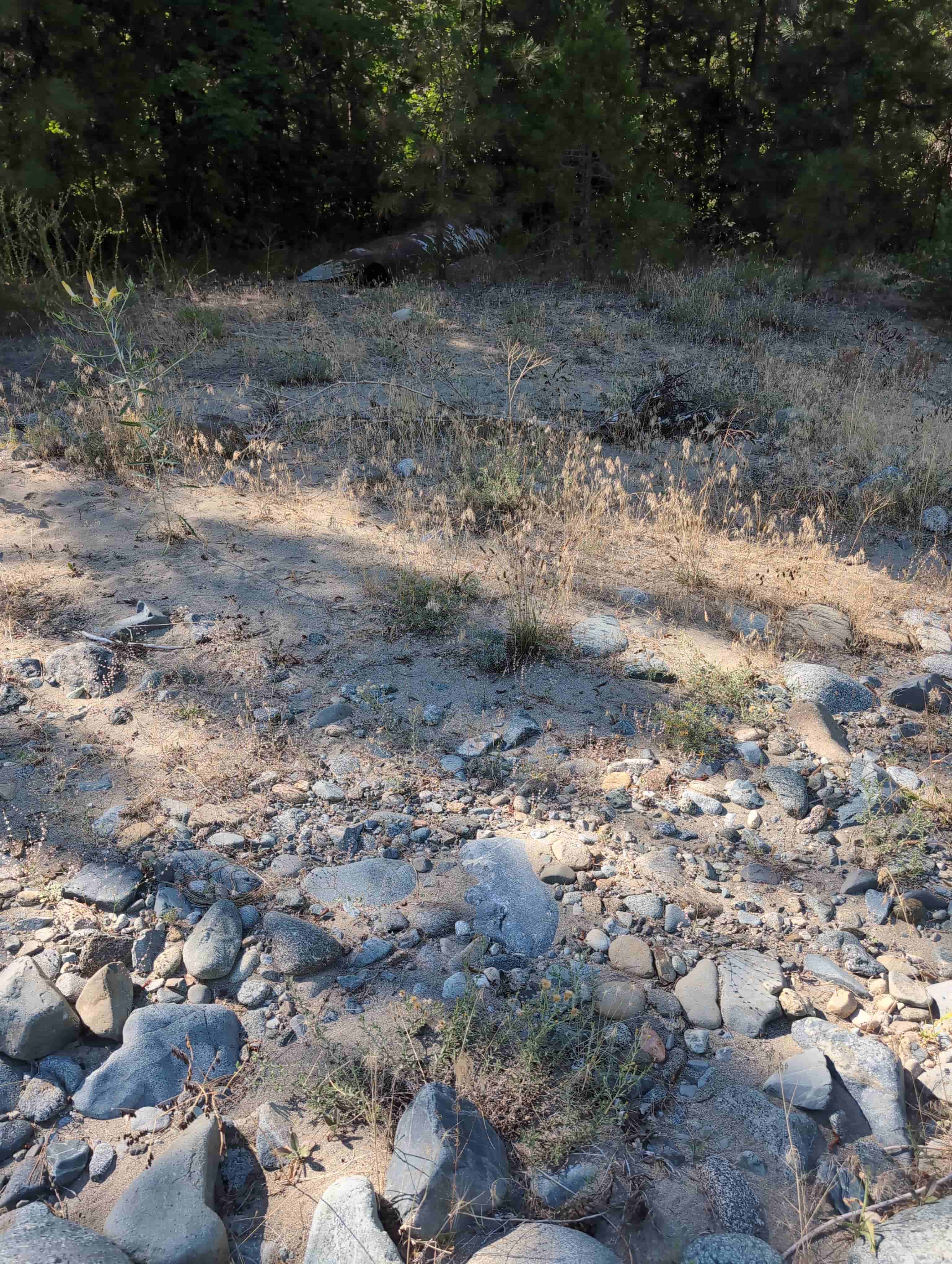 The Golden Trinity Claim — site photograph 165526_047