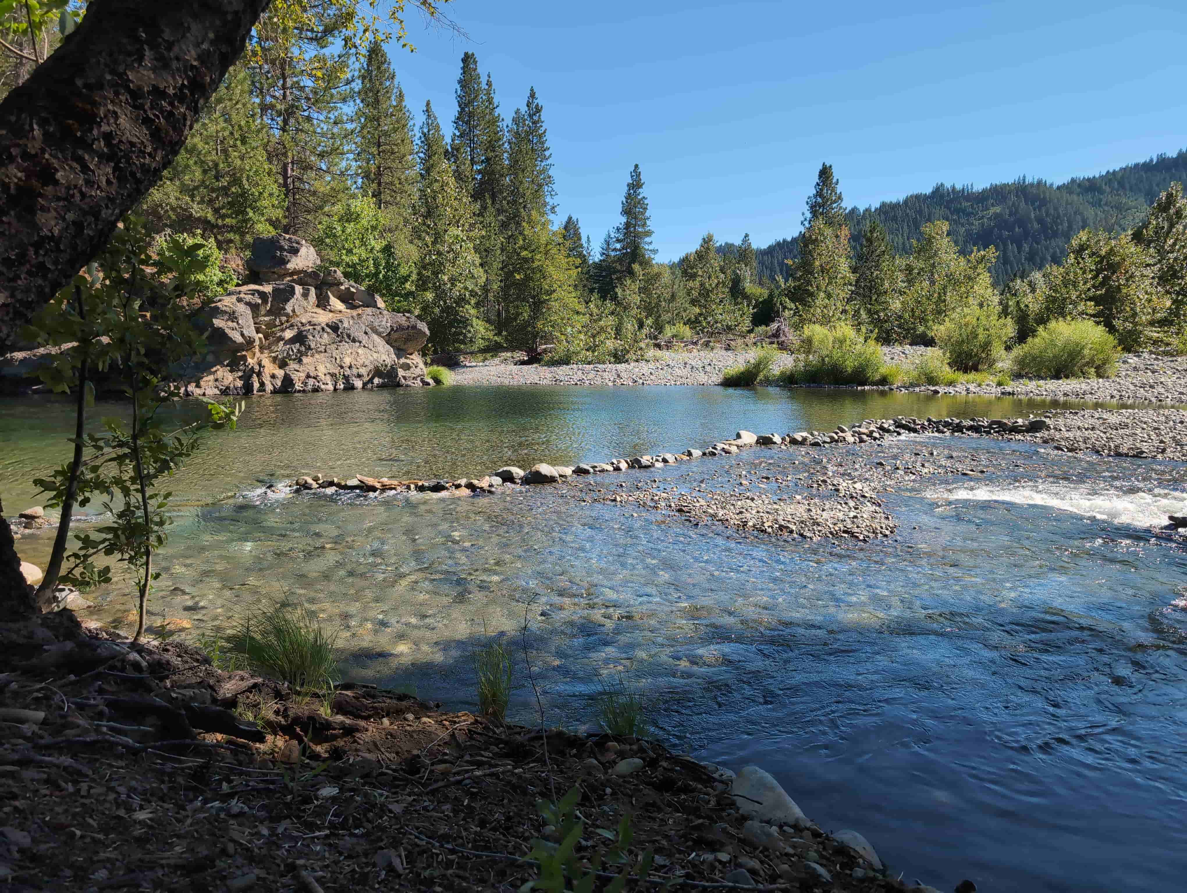 The Golden Trinity Claim — the upper Trinity River at the mouth of Coffee Creek, Trinity County, California