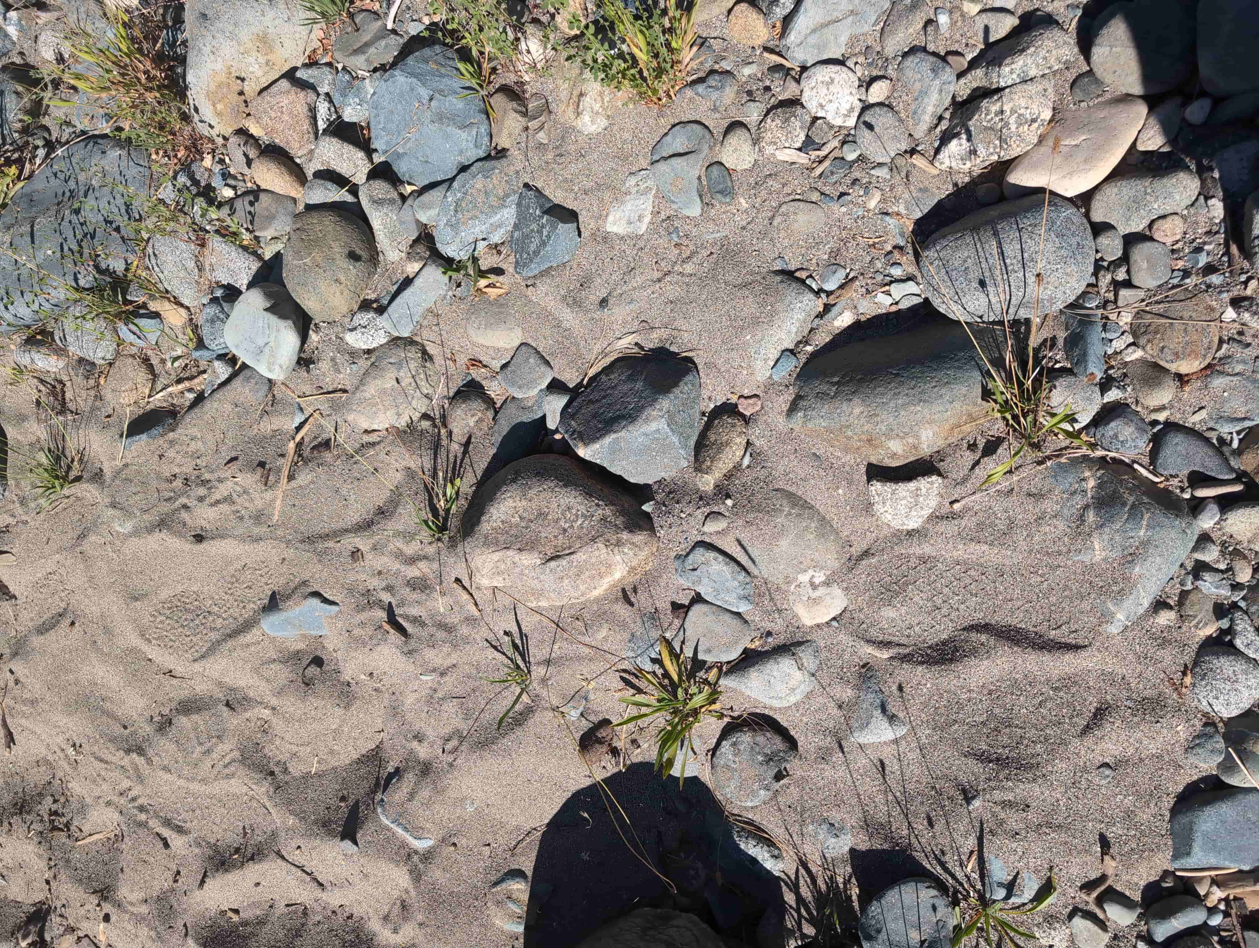 The Golden Trinity Claim — site photograph 170459_926