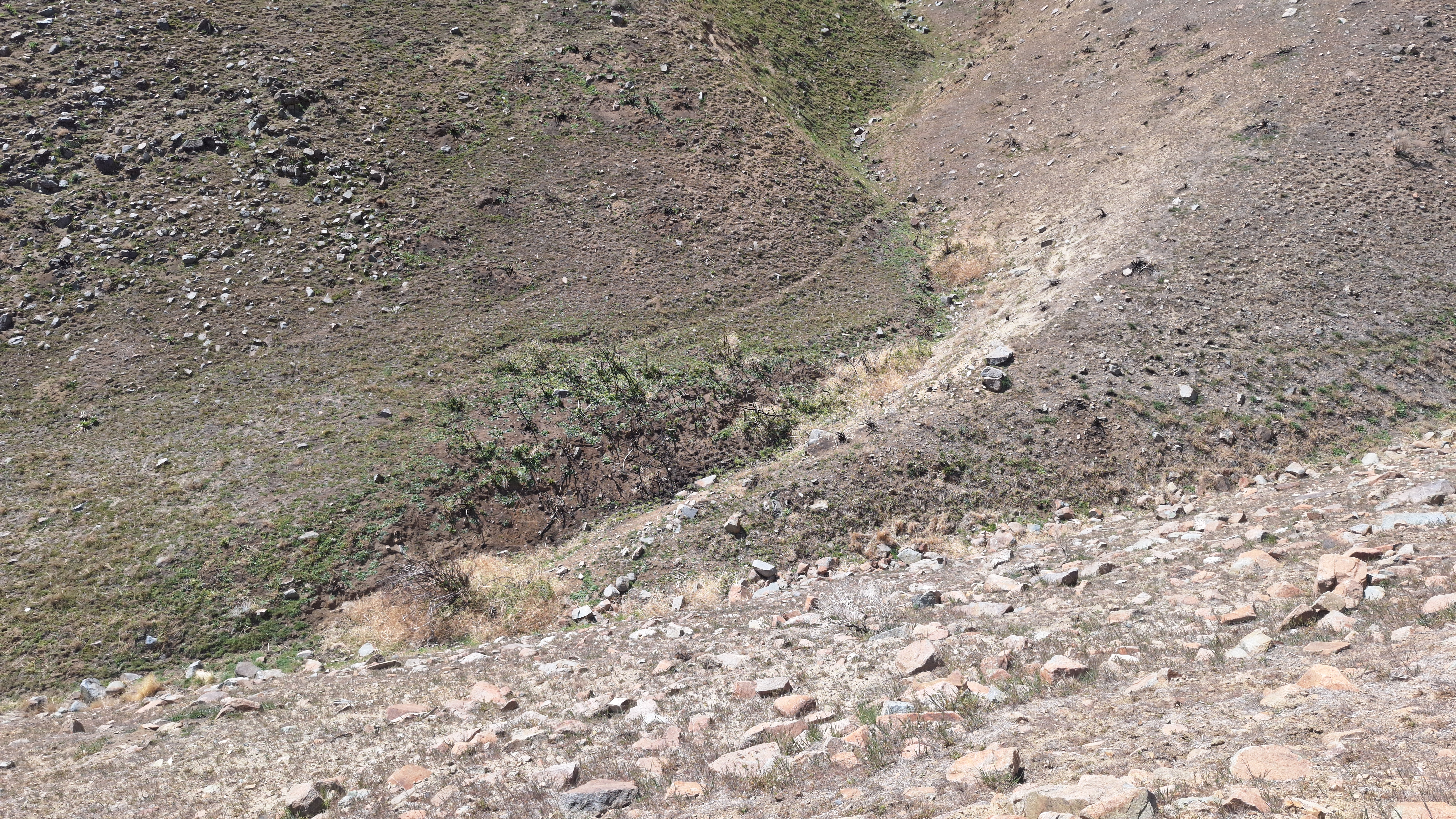 The Winna-Winner Claims — field photograph, April 4 2026, 13:26