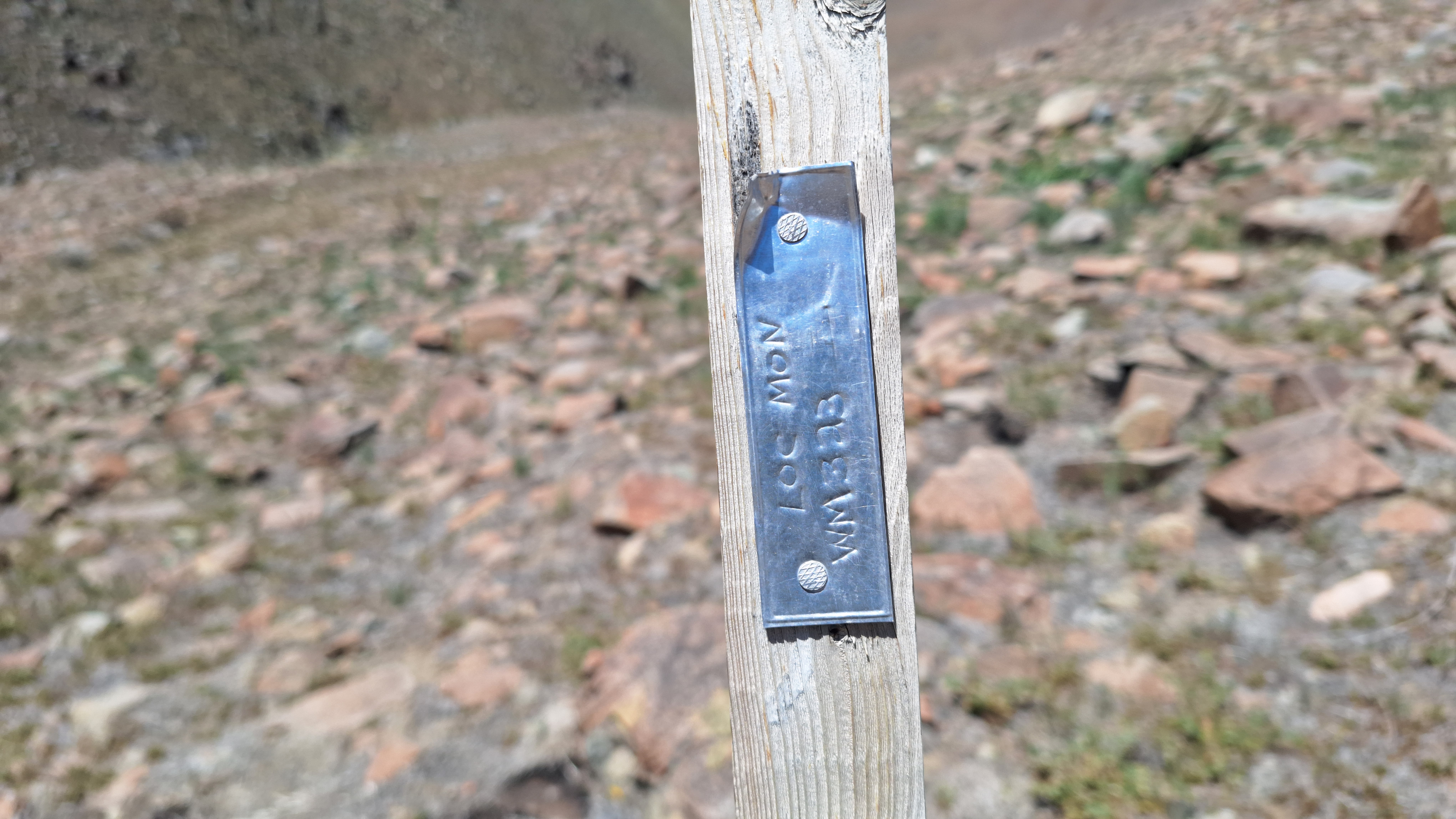The Winna-Winner Claims — field photograph, April 4 2026, 13:33