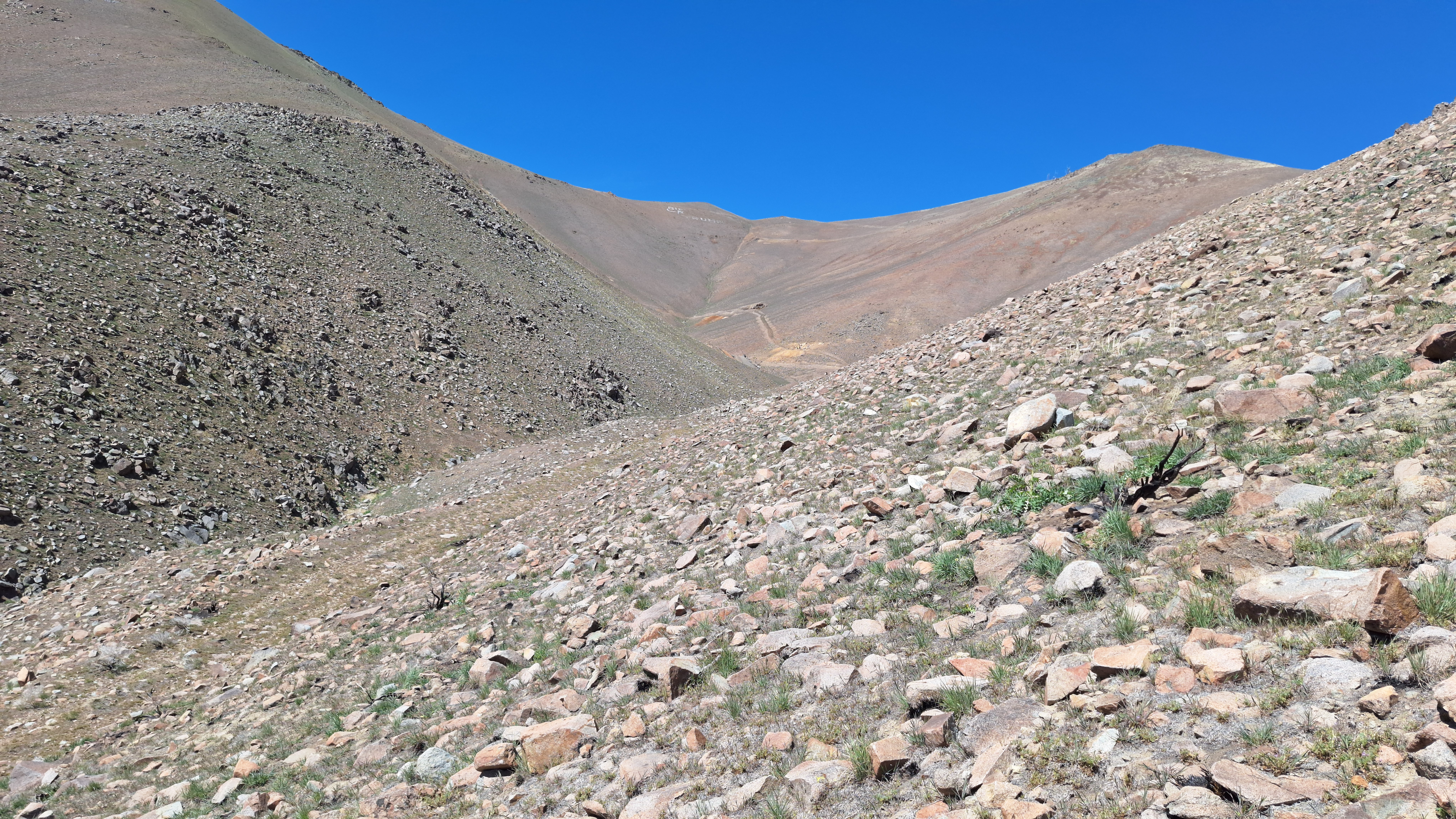 The Winna-Winner Claims — field photograph, April 4 2026, 13:34