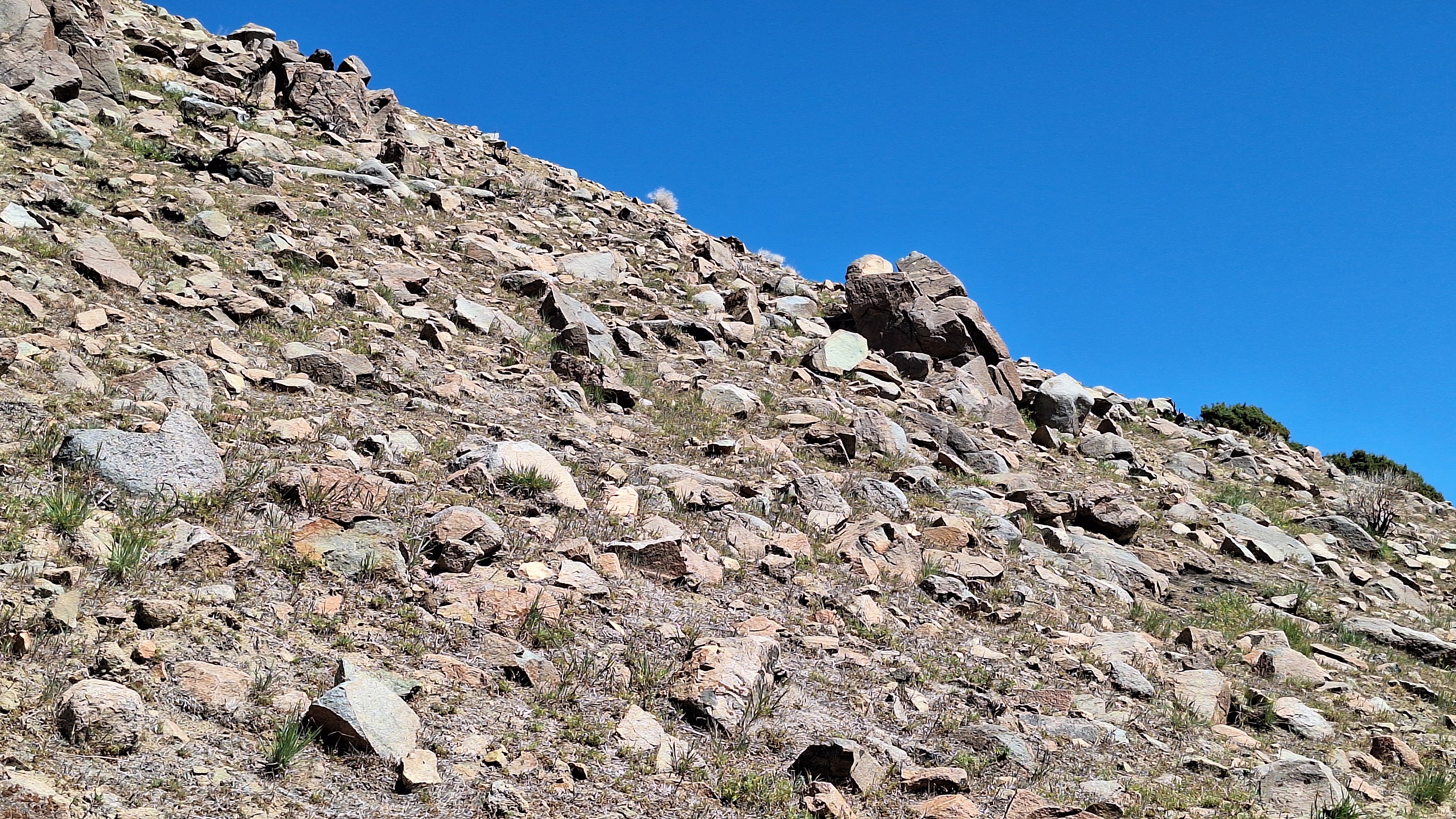 The Winna-Winner Claims — field photograph, April 4 2026, 13:34
