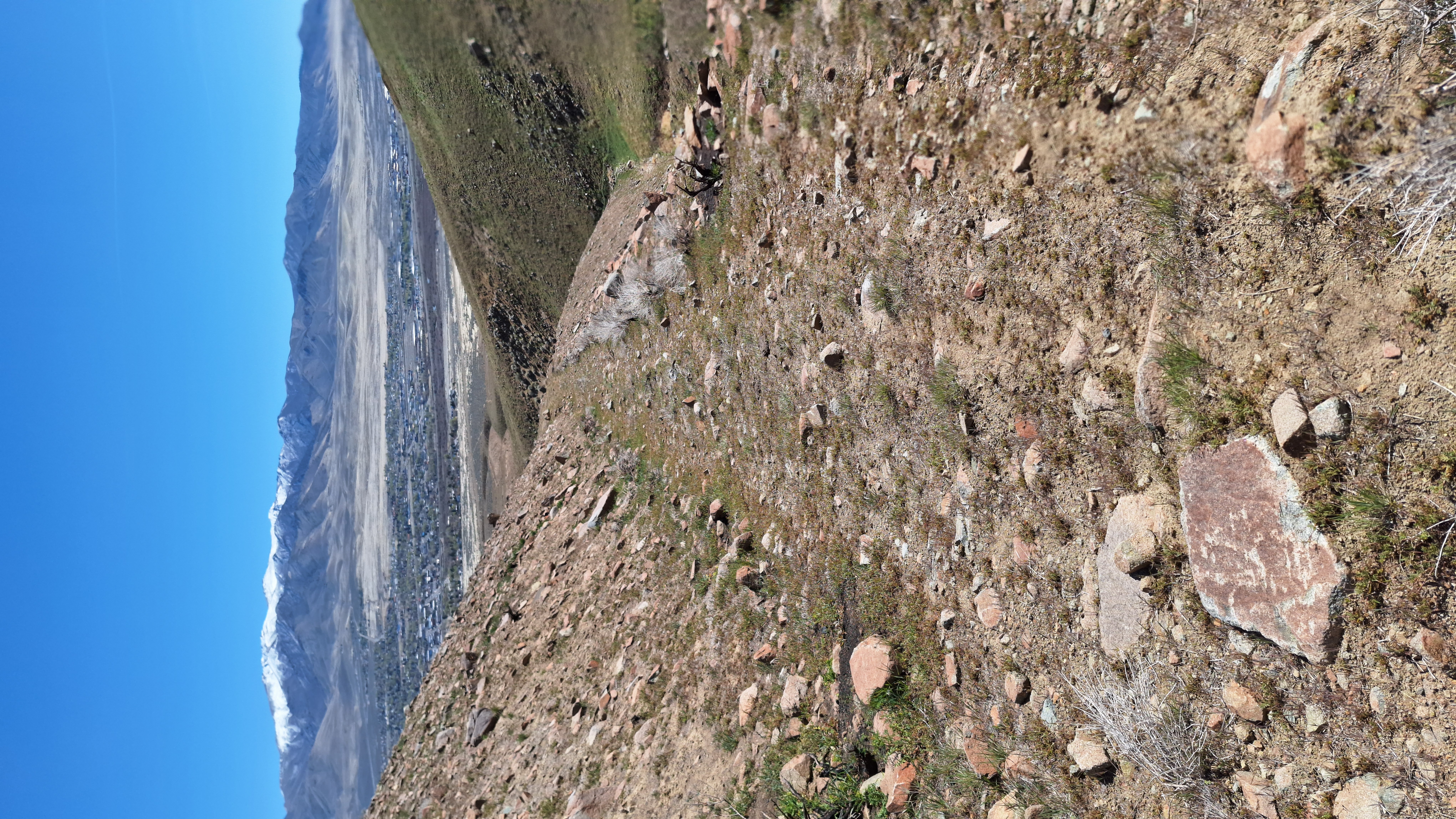 The Winna-Winner Claims — field photograph, April 4 2026, 14:06