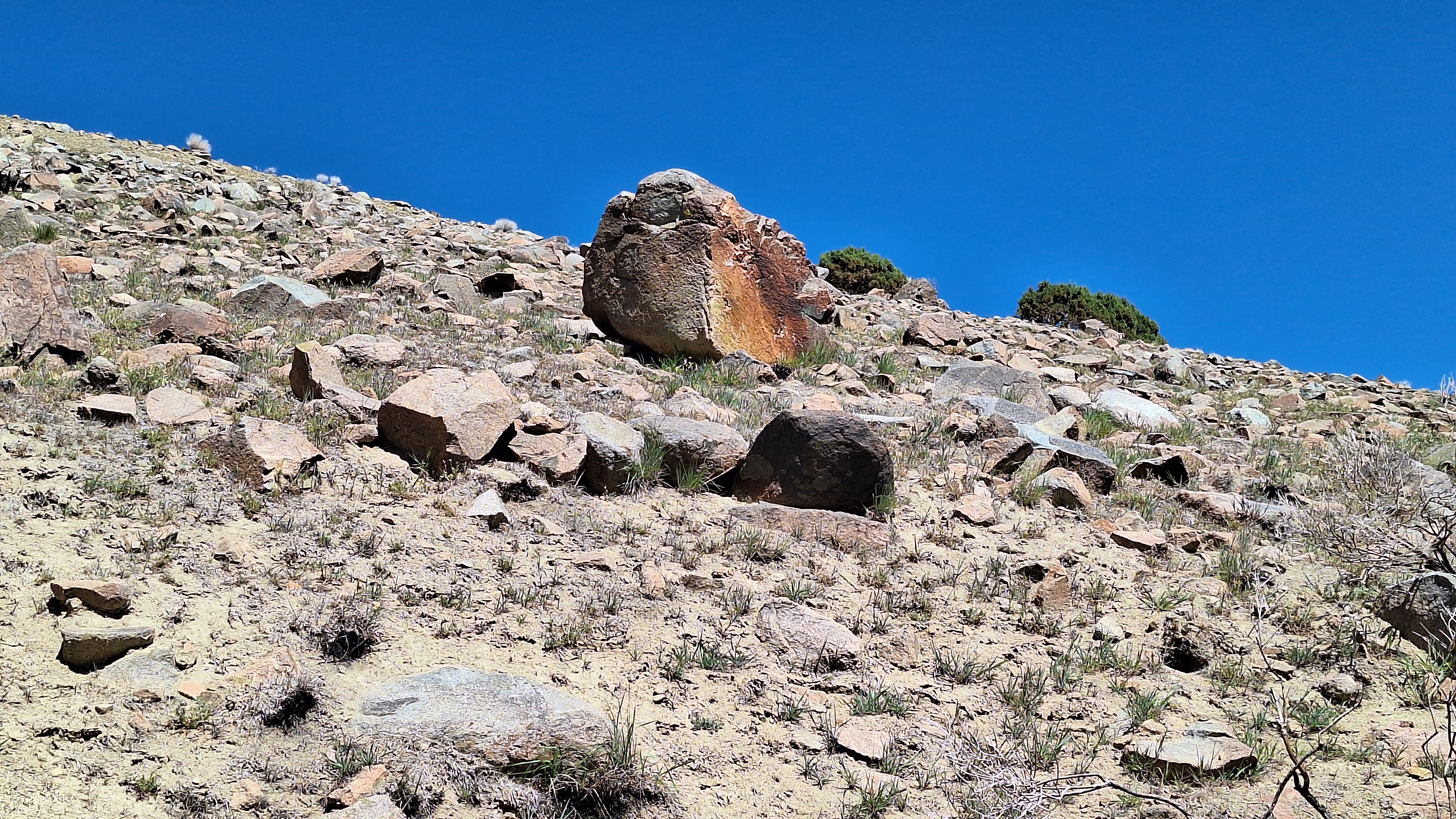 The Winna-Winner Claims — field photograph, April 4 2026, 14:09