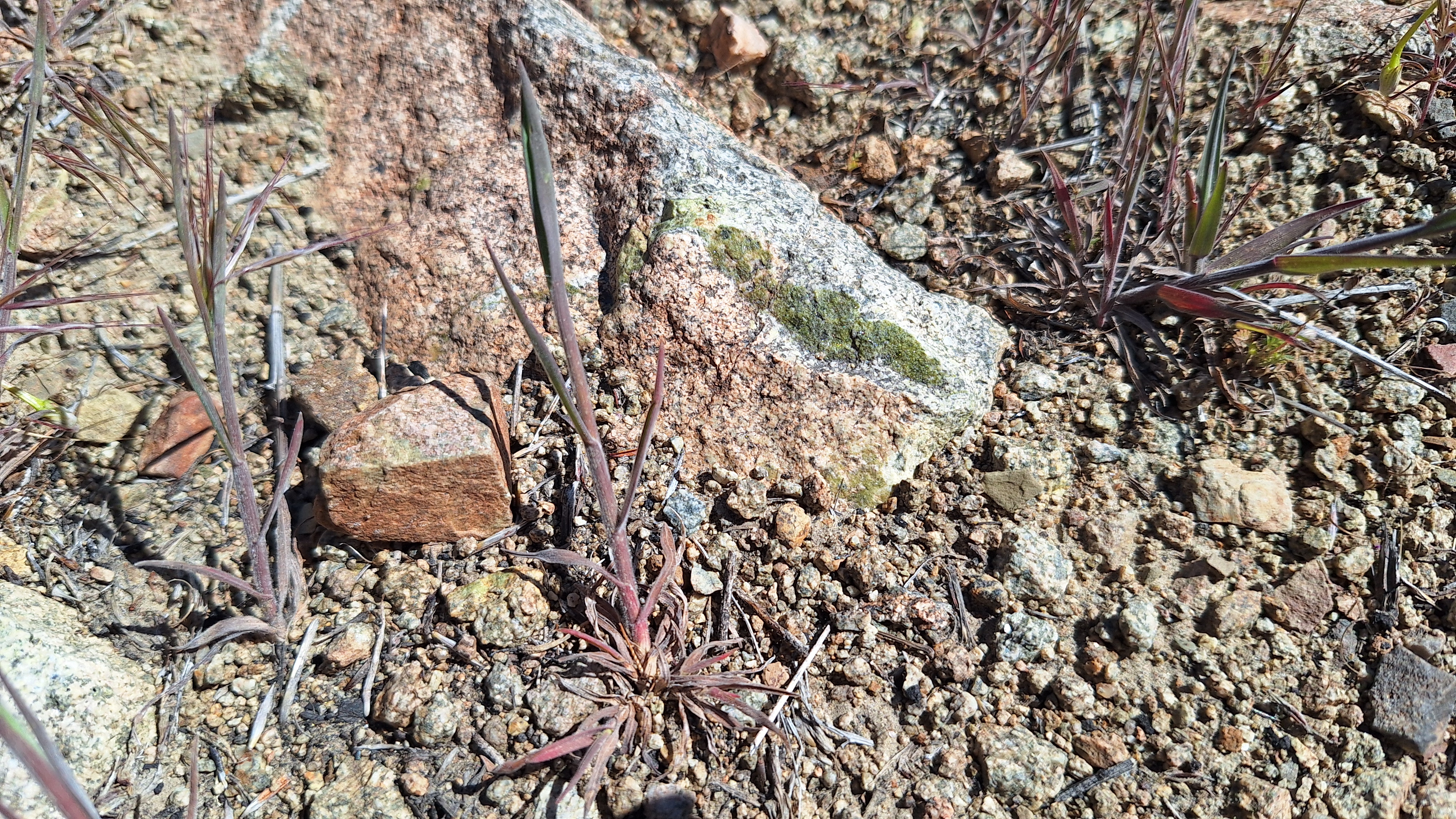 The Winna-Winner Claims — field photograph, April 4 2026, 14:15