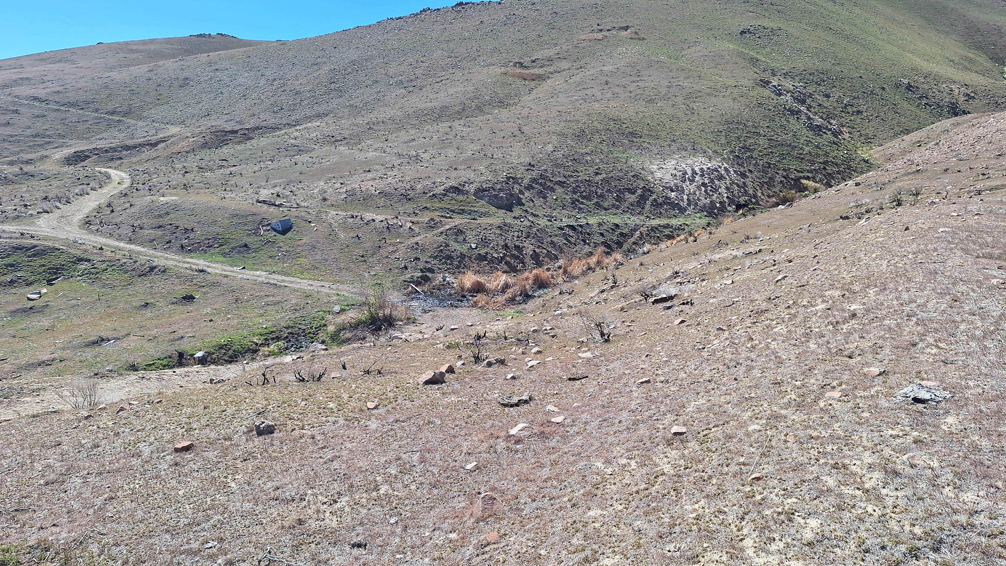The Winna-Winner Claims — field photograph, April 4 2026, 14:31