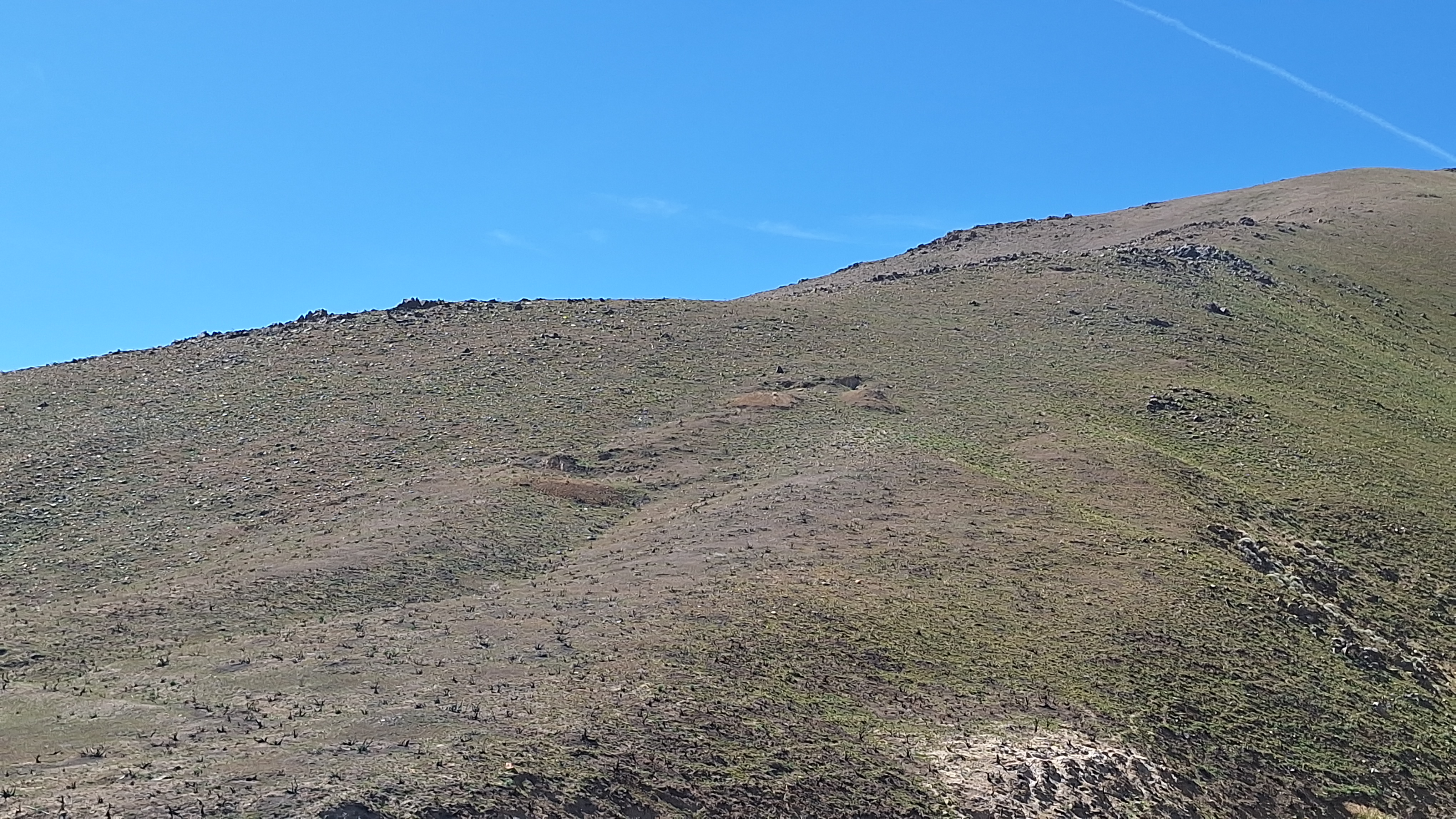 The Winna-Winner Claims — field photograph, April 4 2026, 14:31
