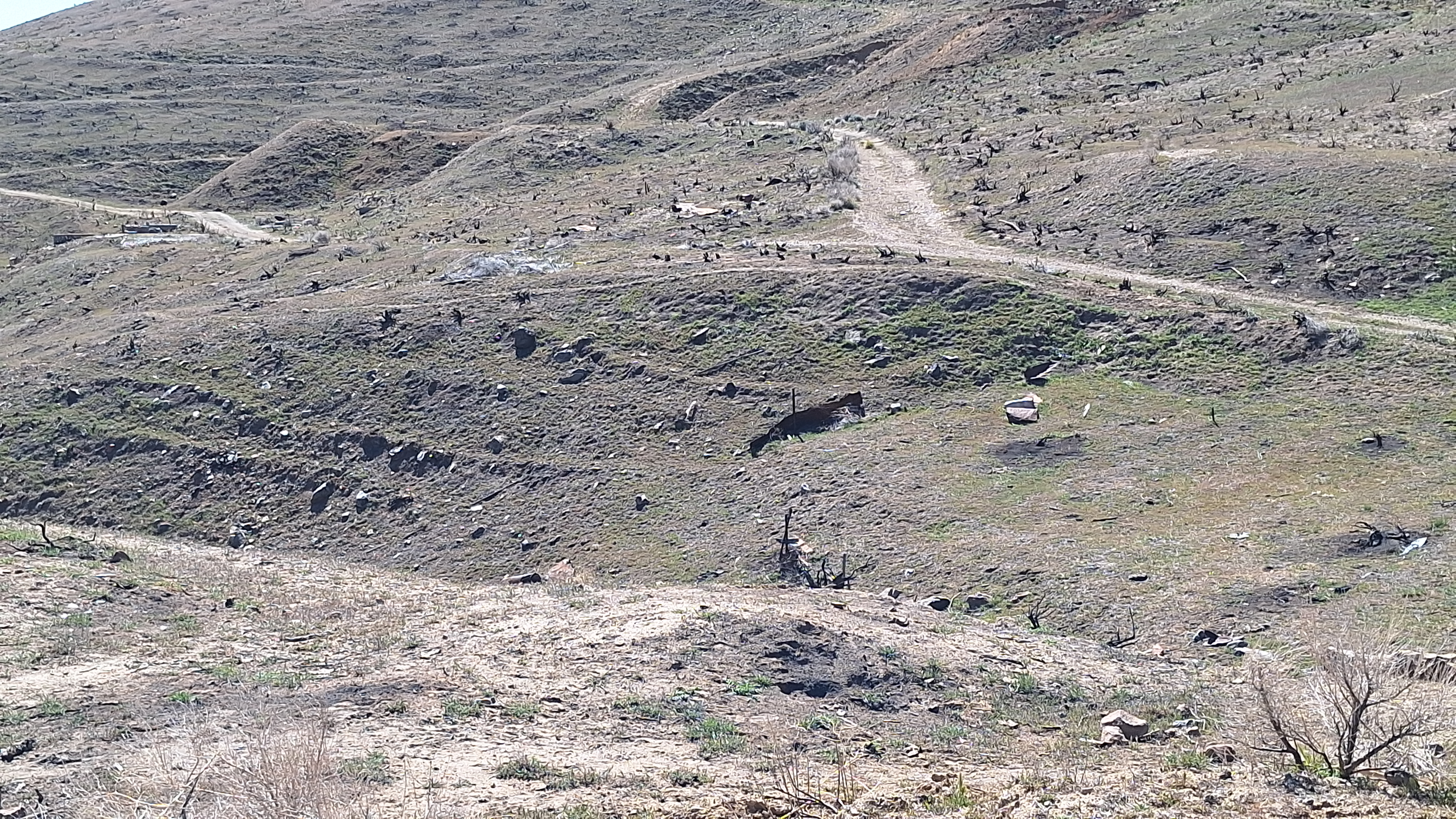 The Winna-Winner Claims — field photograph, April 4 2026, 14:33