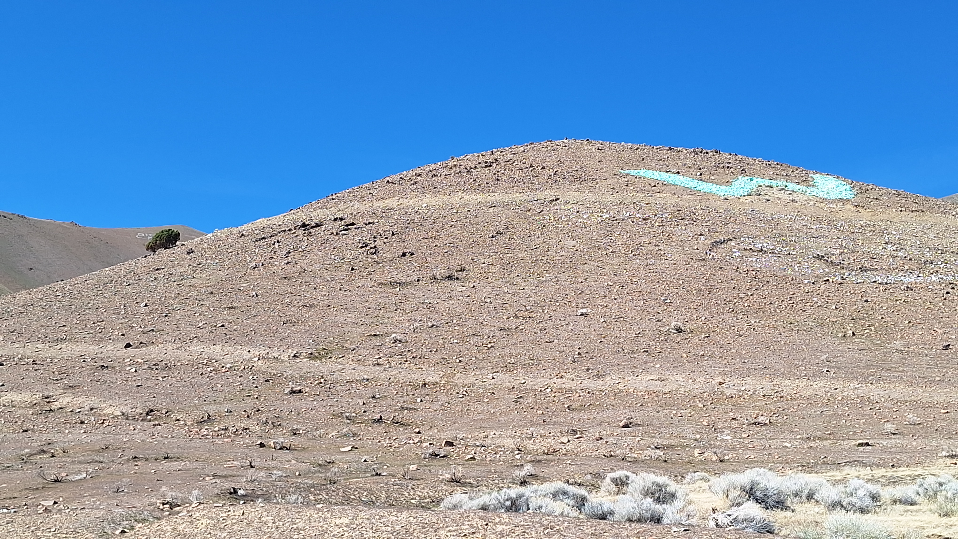 The Winna-Winner Claims — field photograph, April 4 2026, 14:33