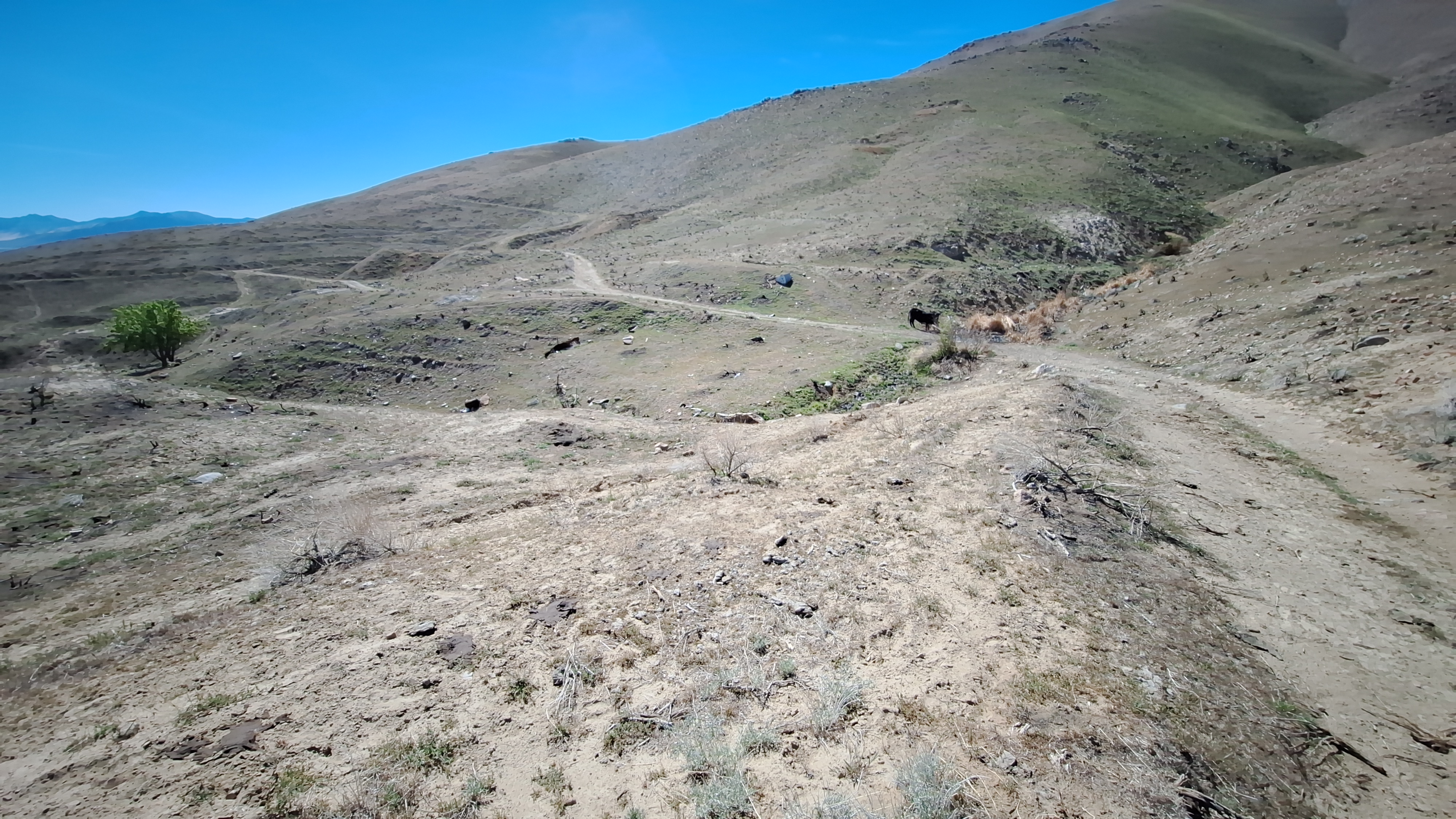 The Winna-Winner Claims — field photograph, April 4 2026, 14:34