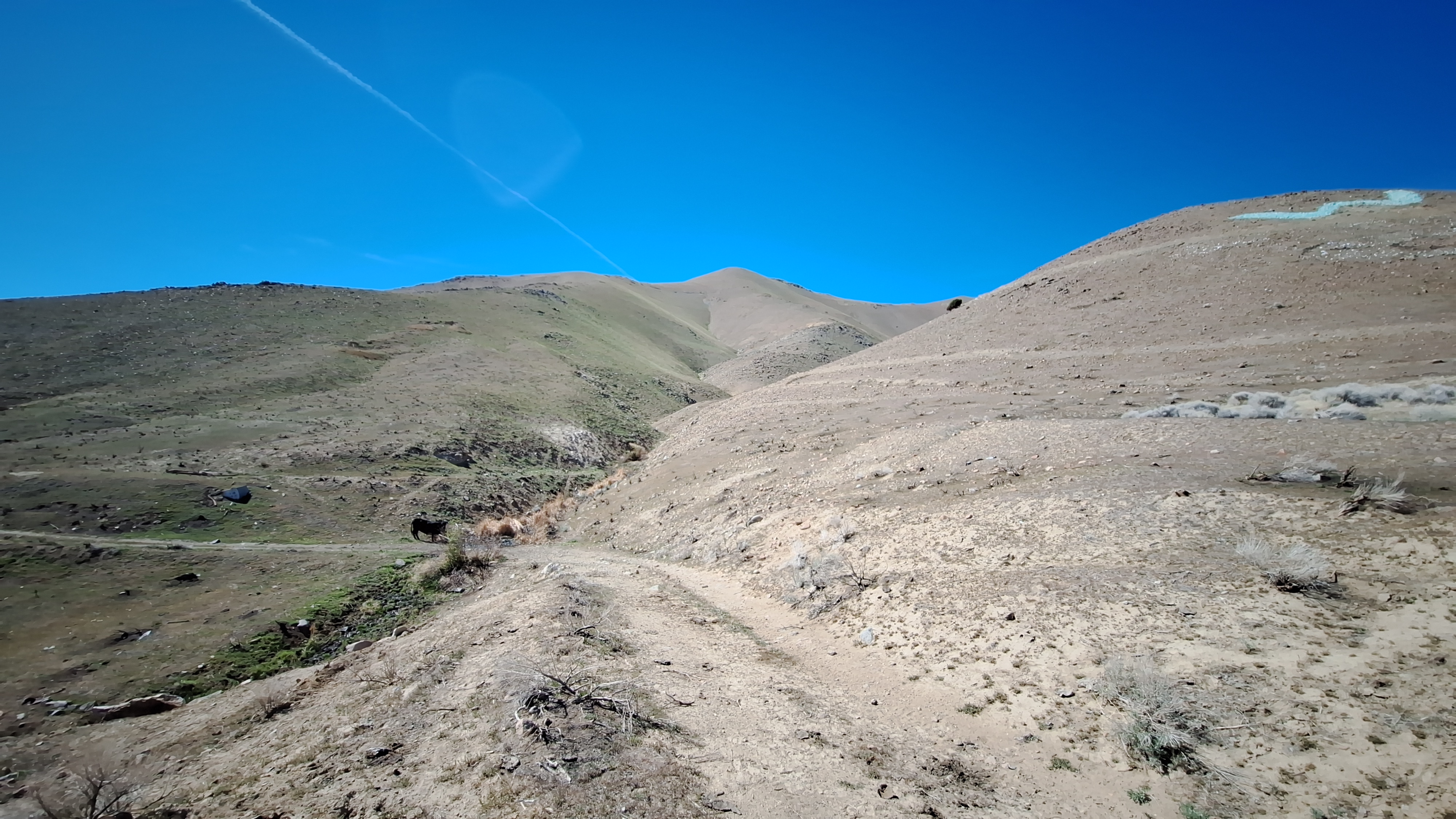 The Winna-Winner Claims — field photograph, April 4 2026, 14:34