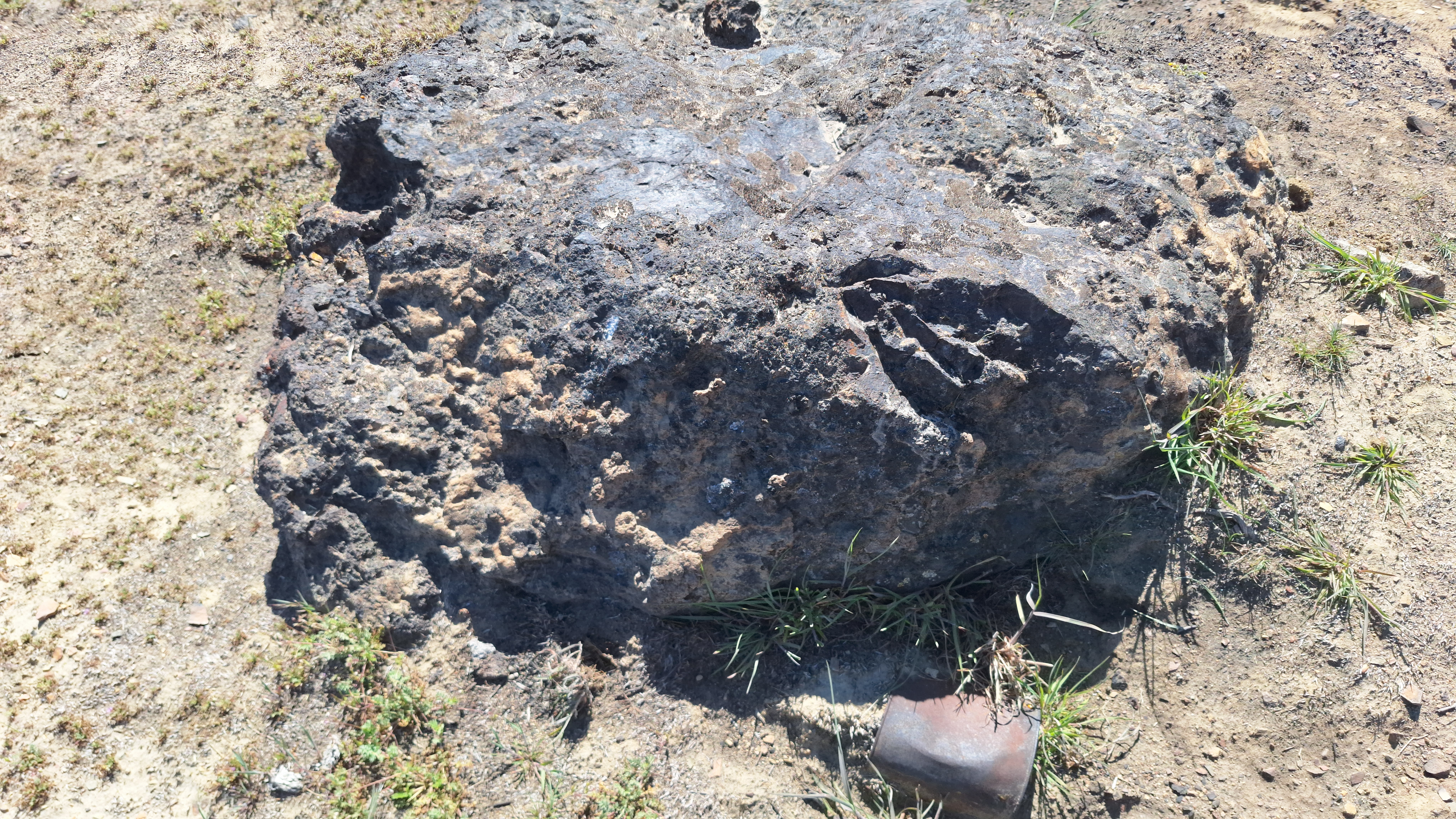 The Winna-Winner Claims — field photograph, April 4 2026, 14:40