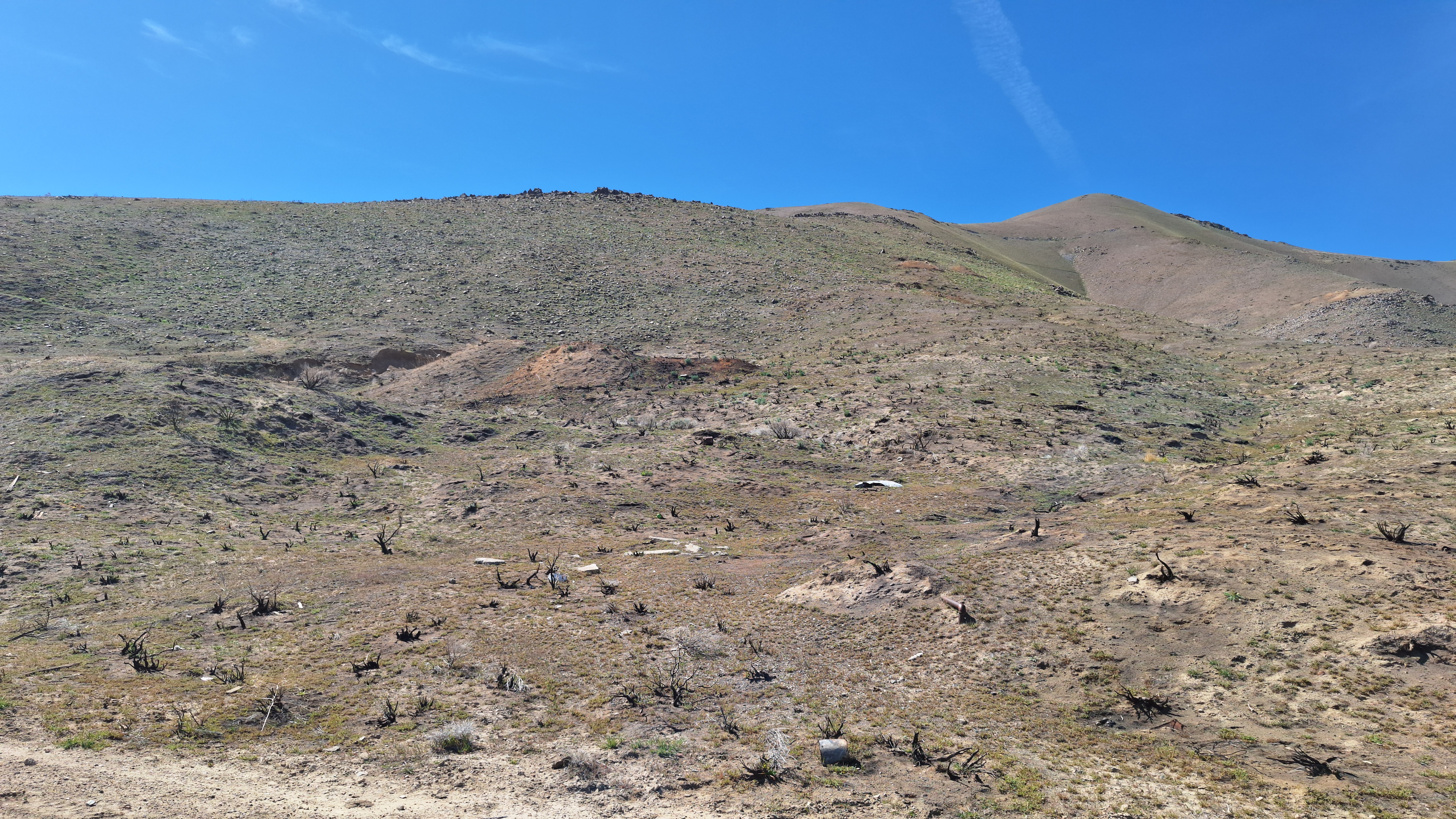 The Winna-Winner Claims — field photograph, April 4 2026, 14:47