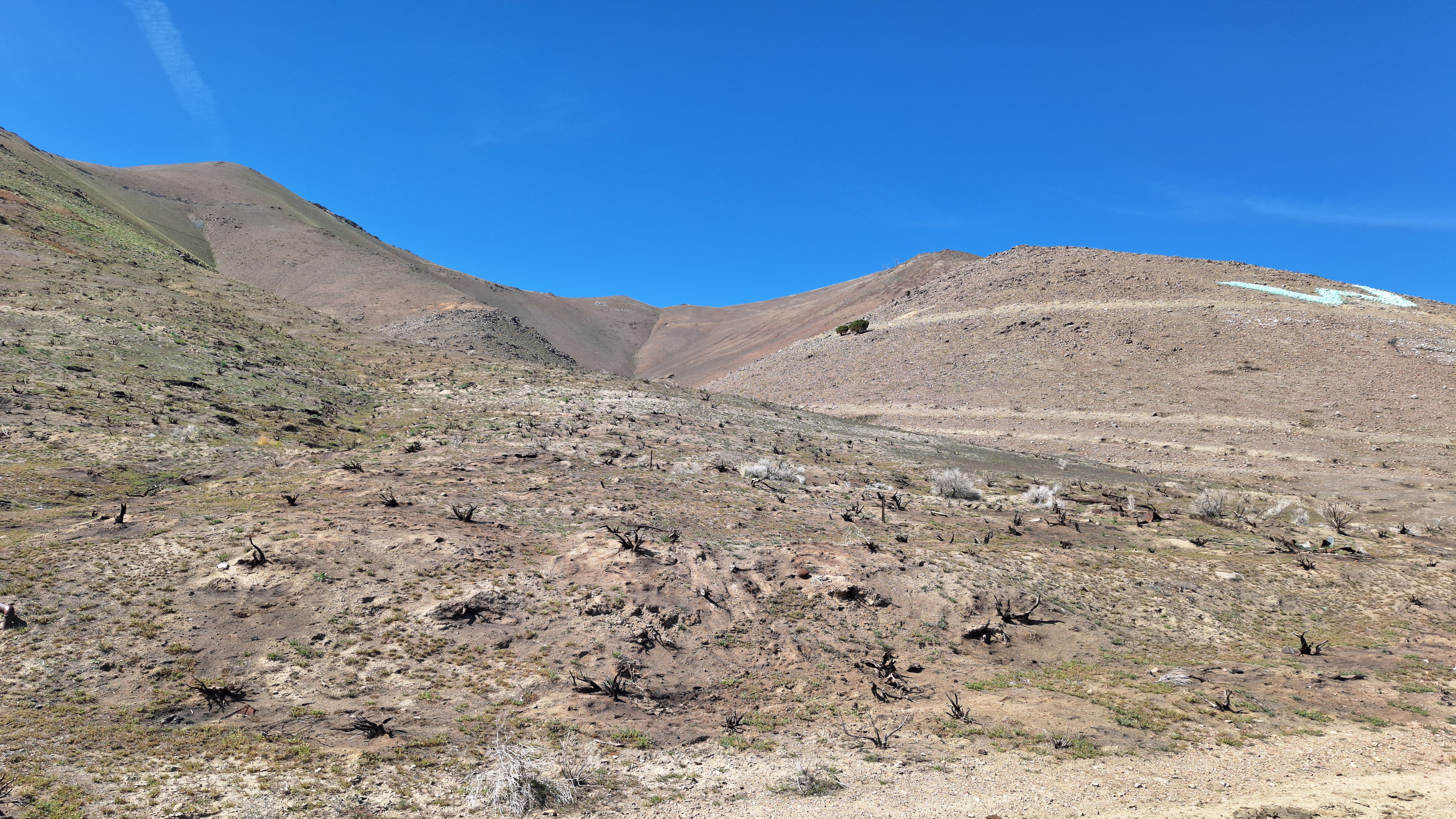 The Winna-Winner Claims — field photograph, April 4 2026, 14:47