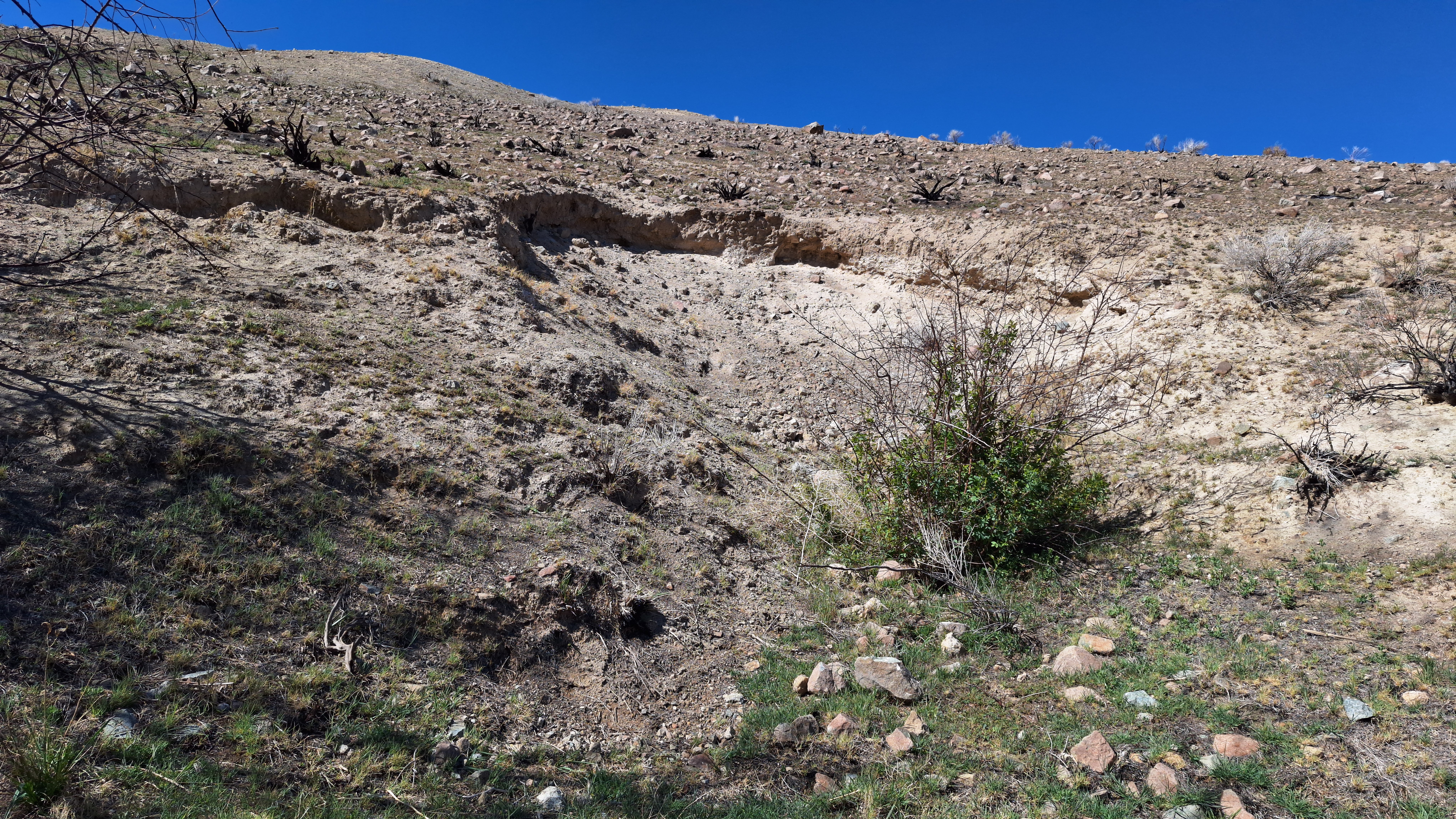 The Winna-Winner Claims — field photograph, April 4 2026, 15:11