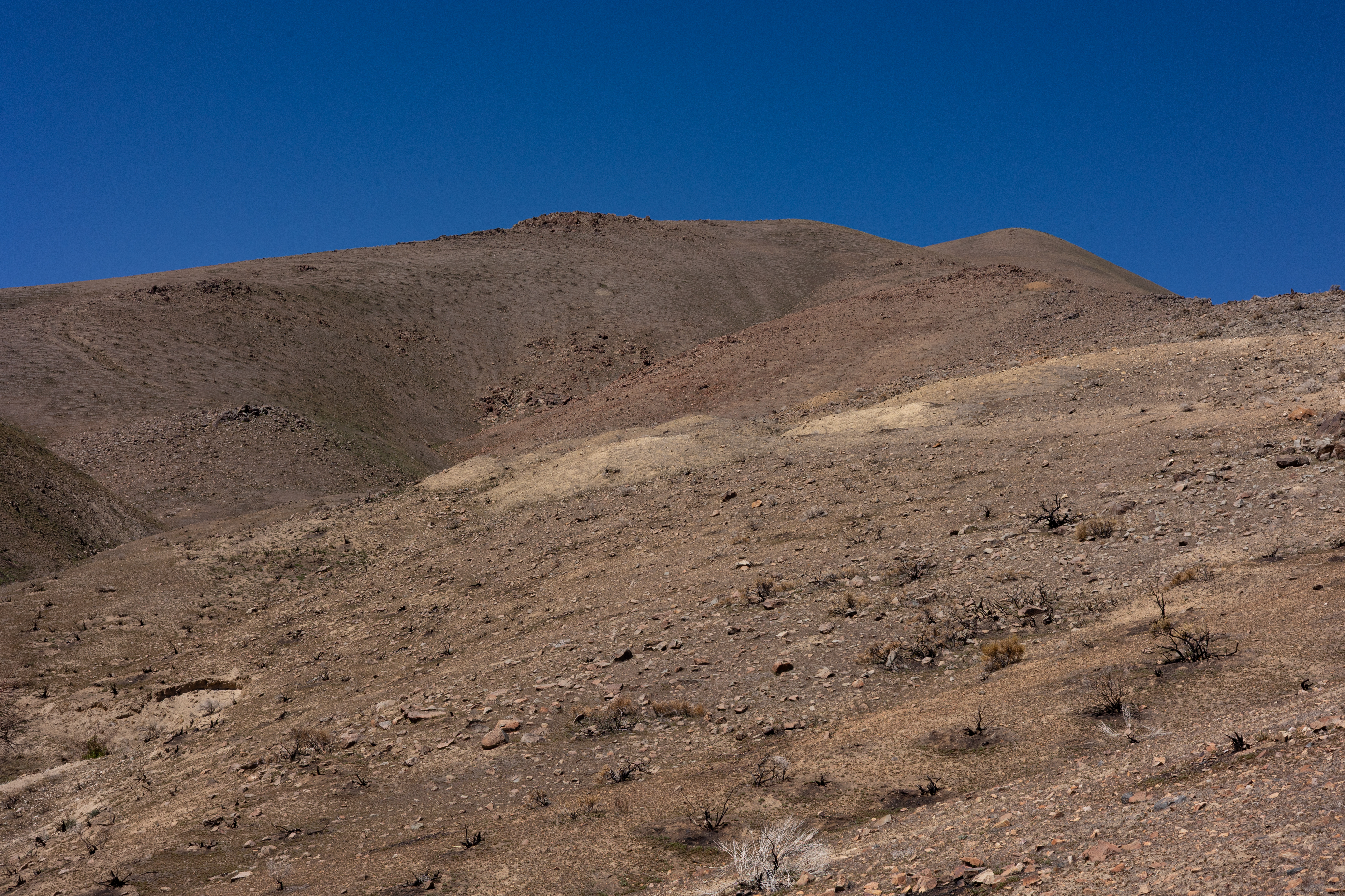 The Winna-Winner Claims — site photograph _61_6149