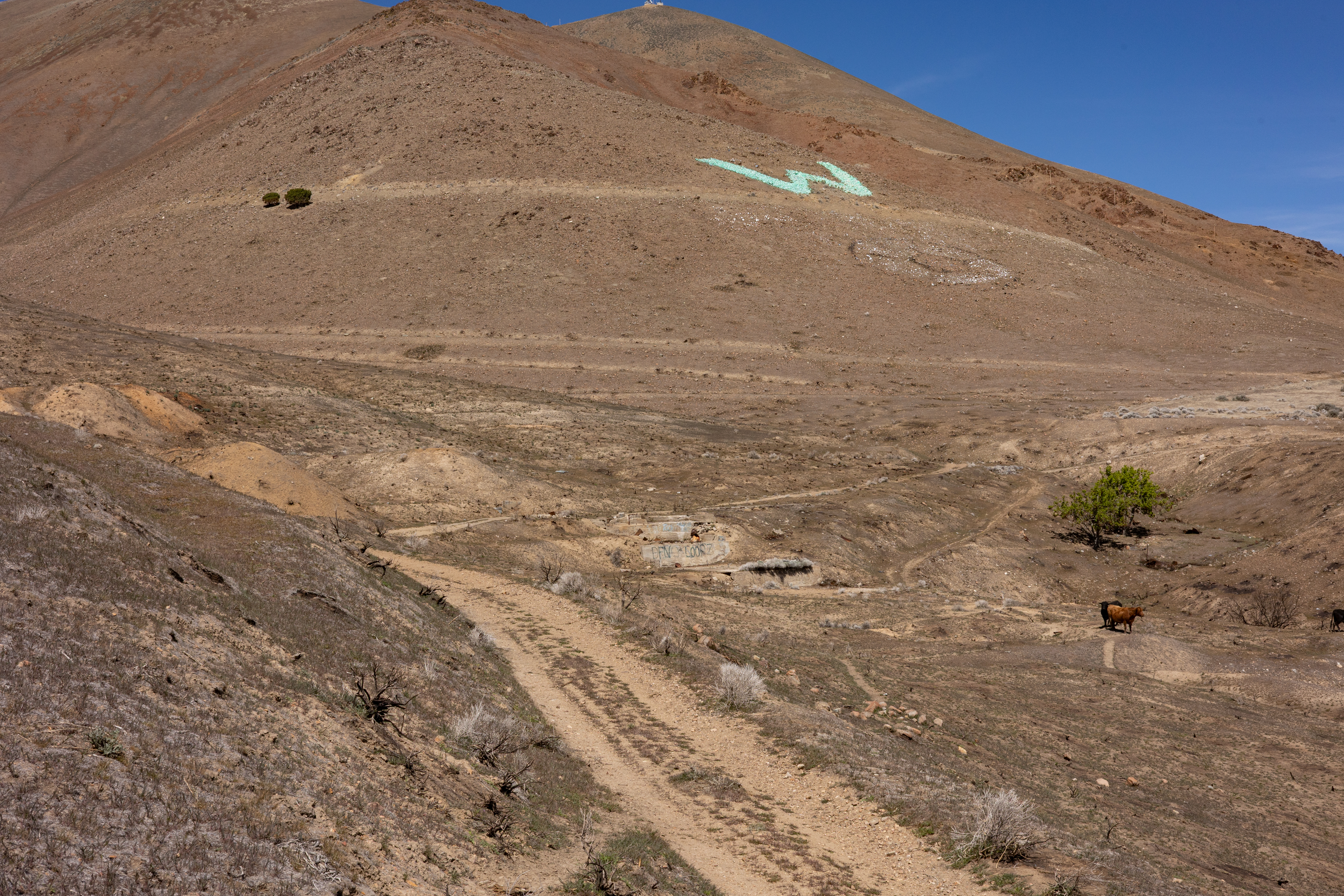 The Winna-Winner Claims — site photograph _61_6151