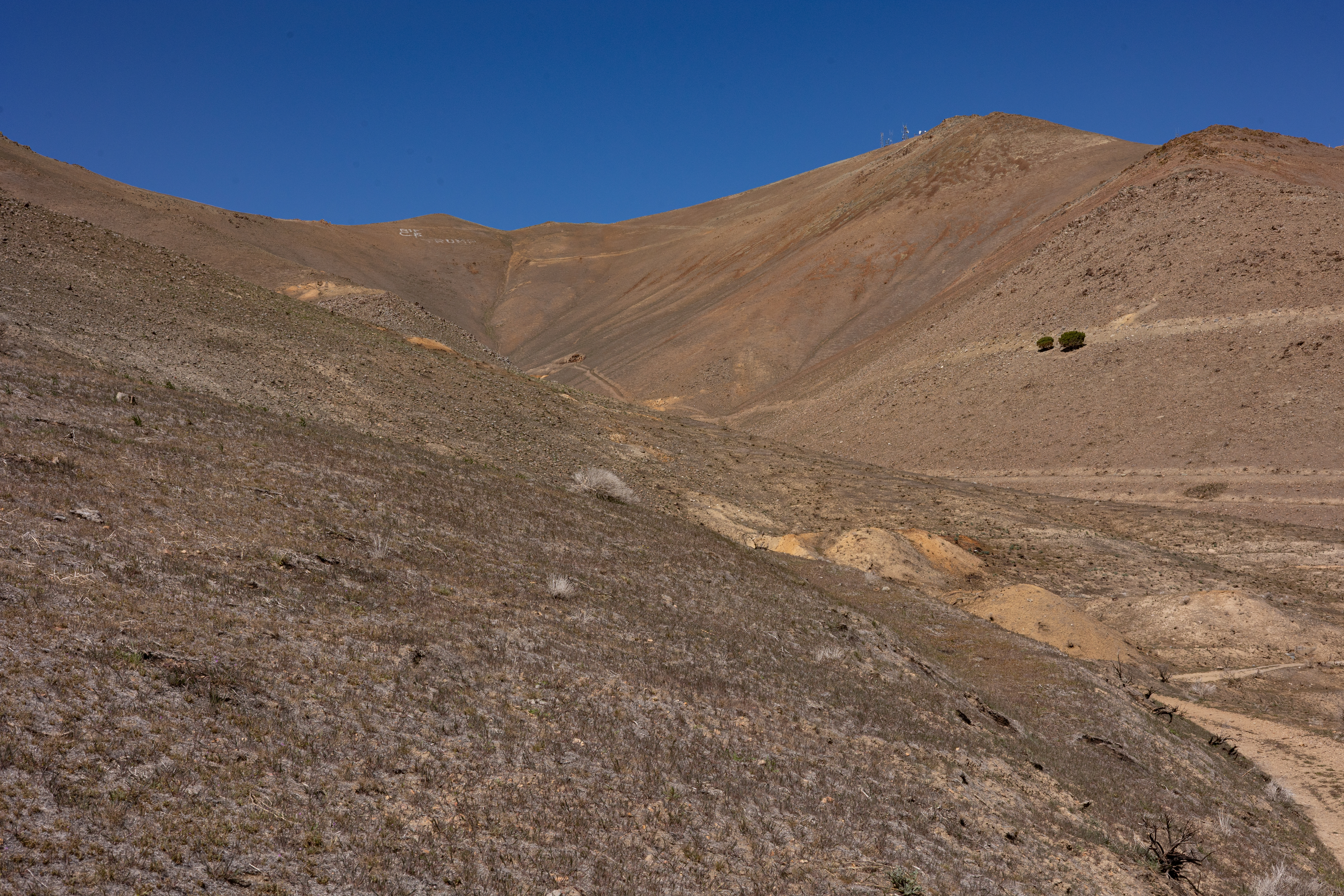 The Winna-Winner Claims — site photograph _61_6152