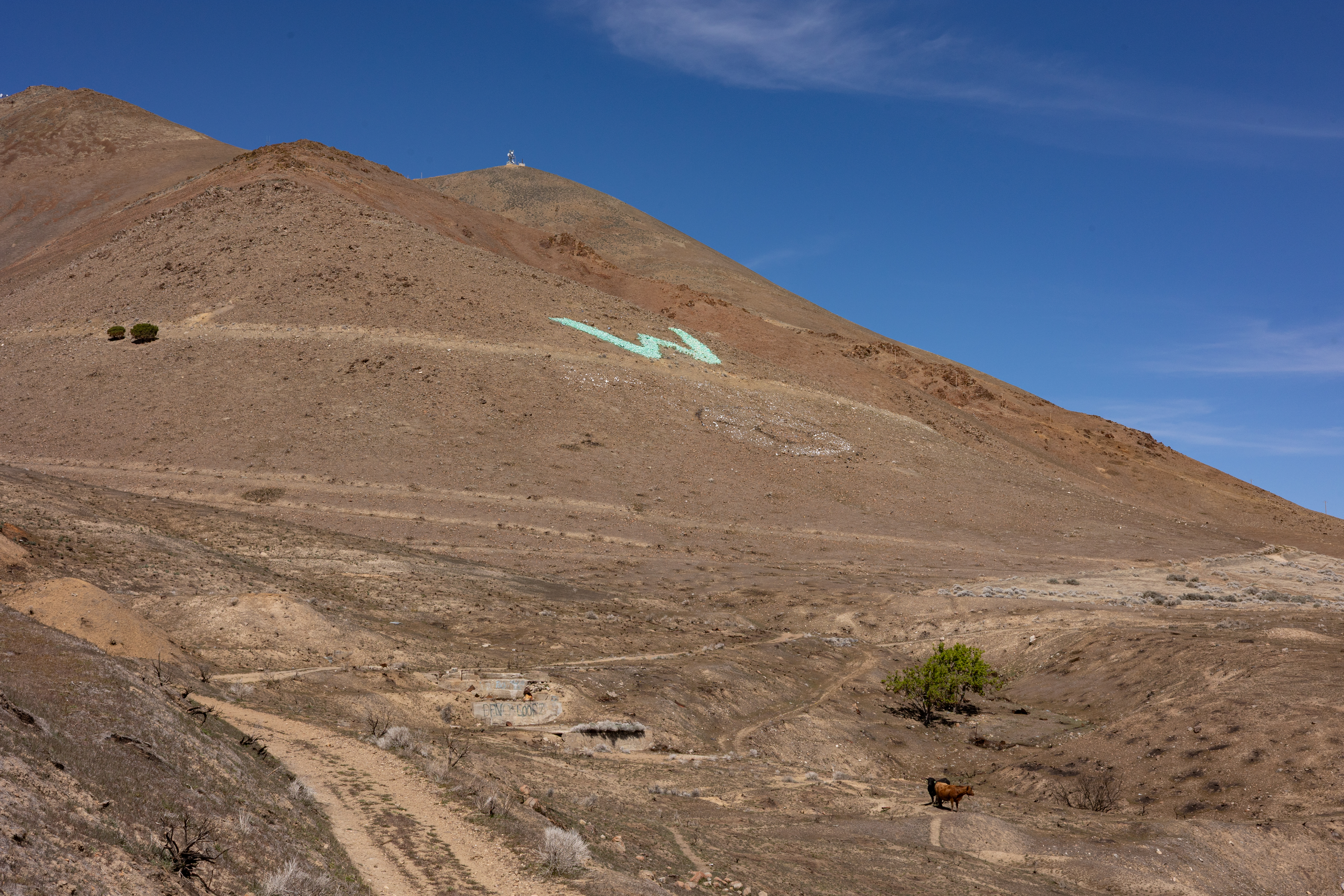 The Winna-Winner Claims — site photograph _61_6153