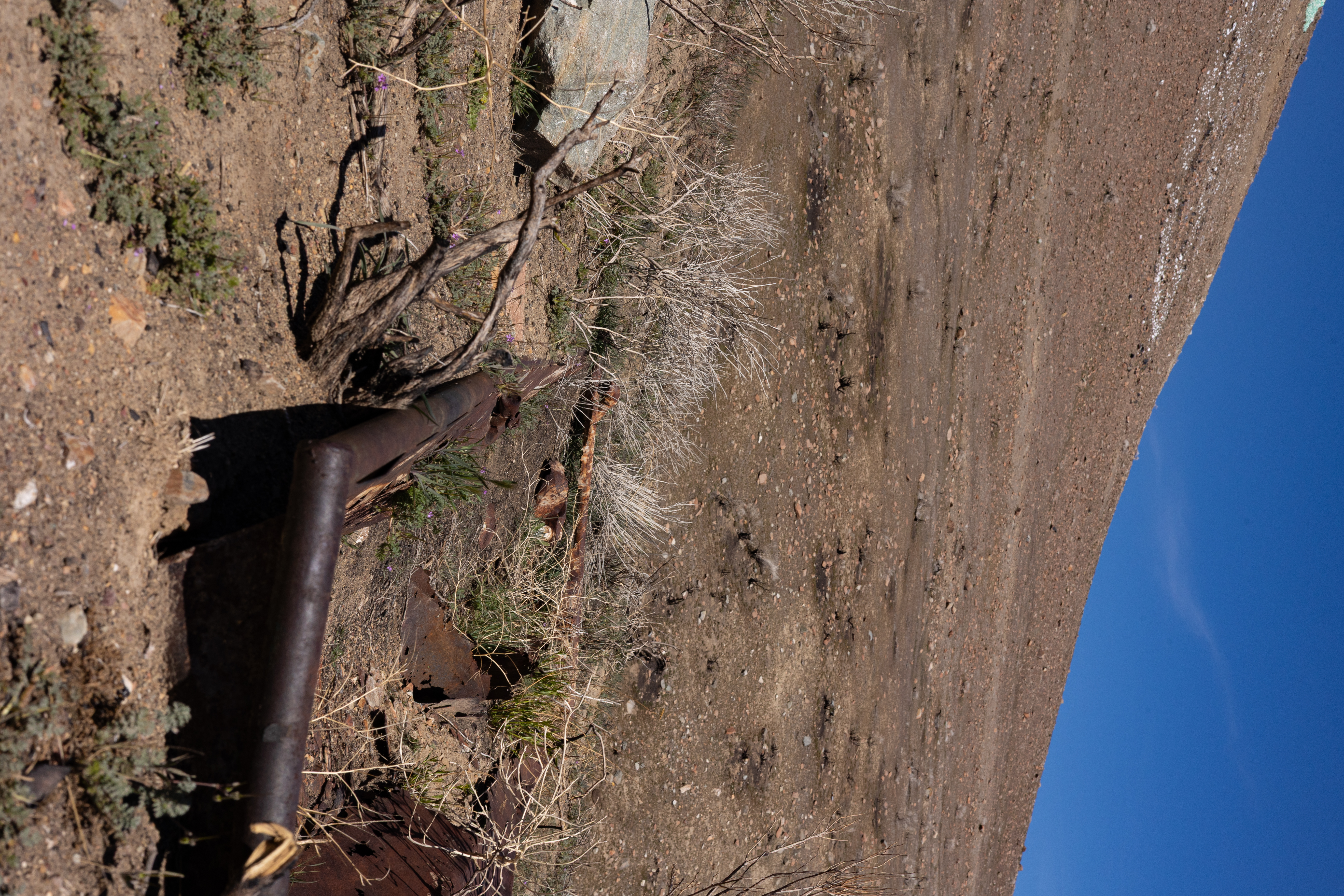The Winna-Winner Claims — site photograph _61_6157