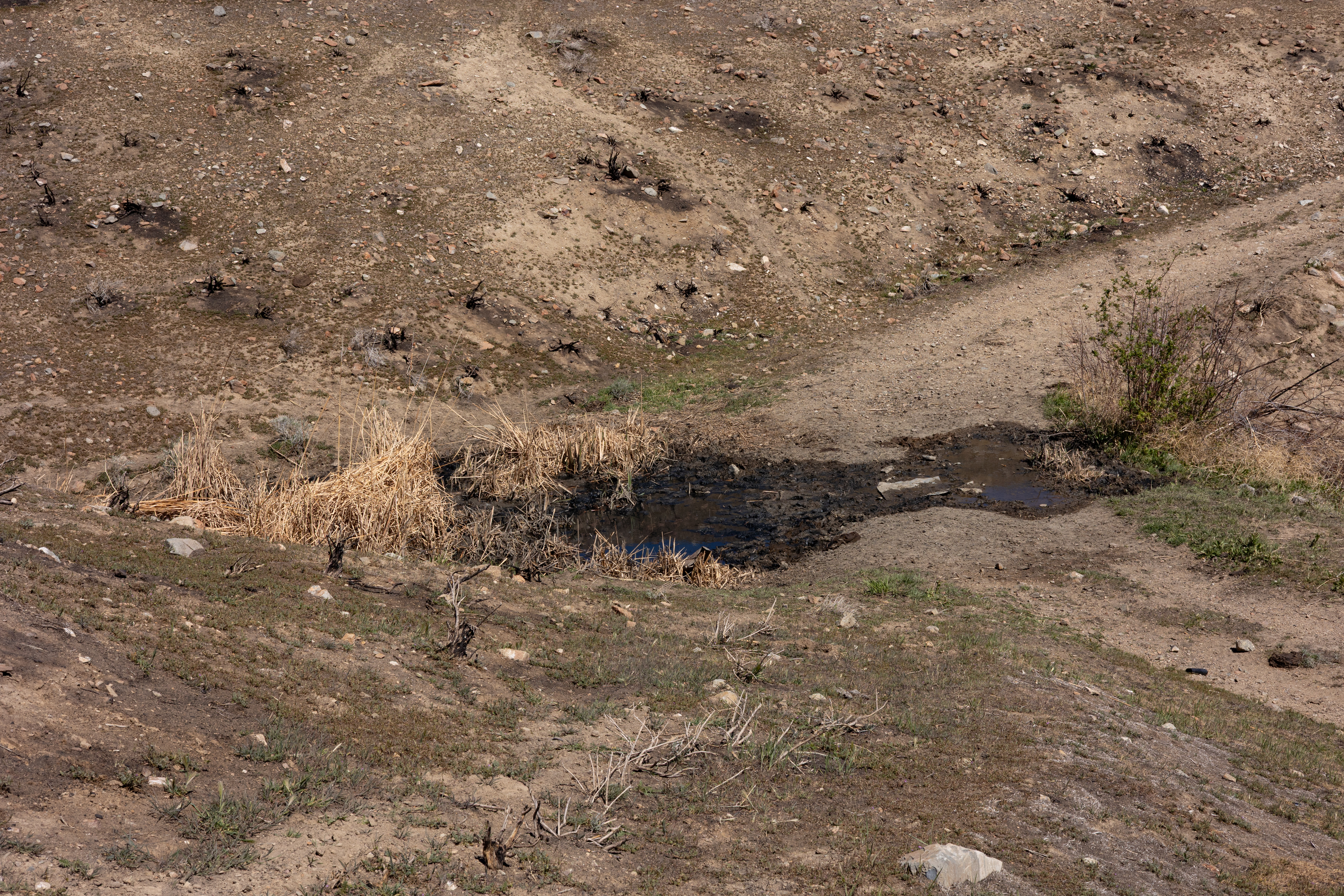 The Winna-Winner Claims — site photograph _61_6158