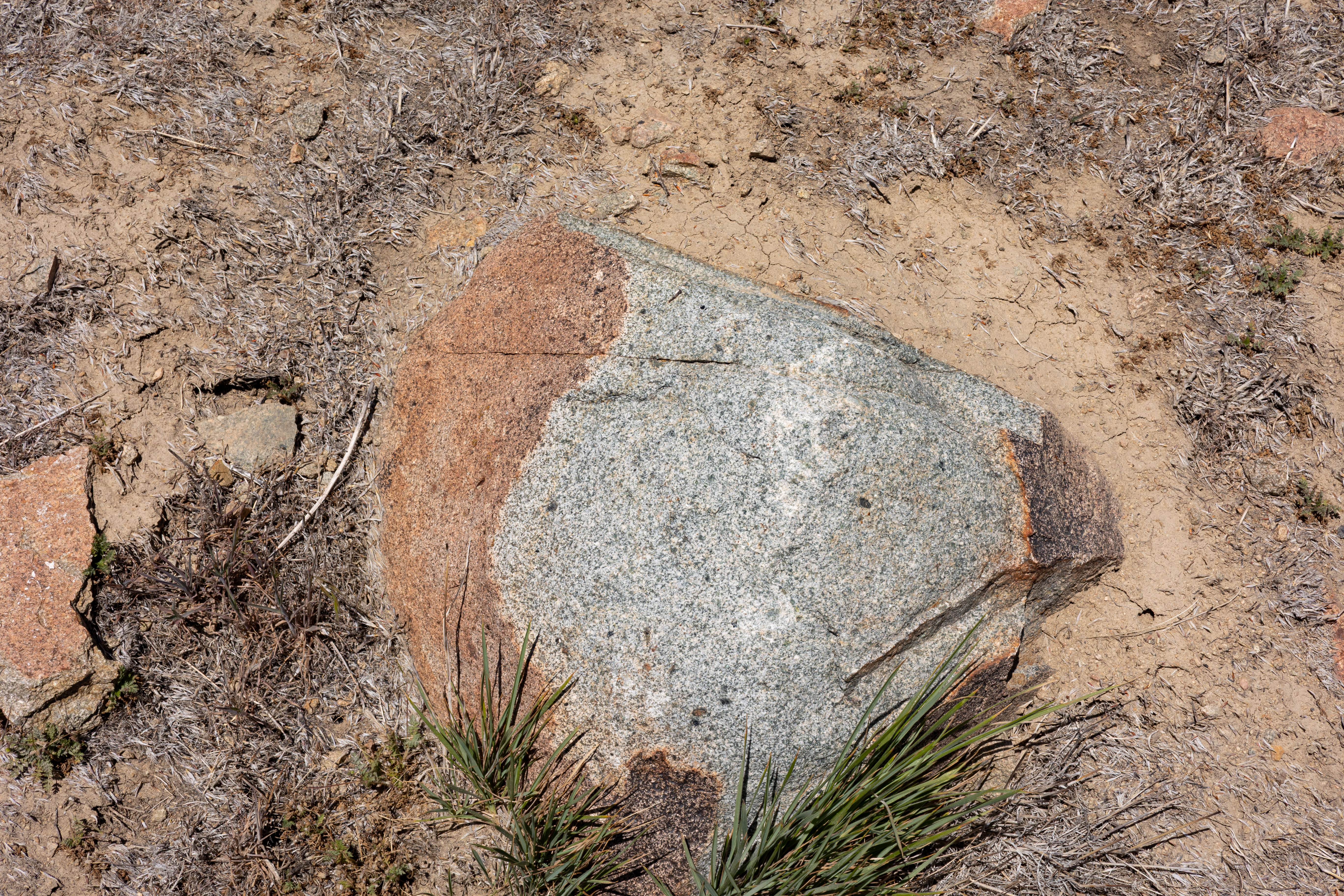 The Winna-Winner Claims — site photograph _61_6162