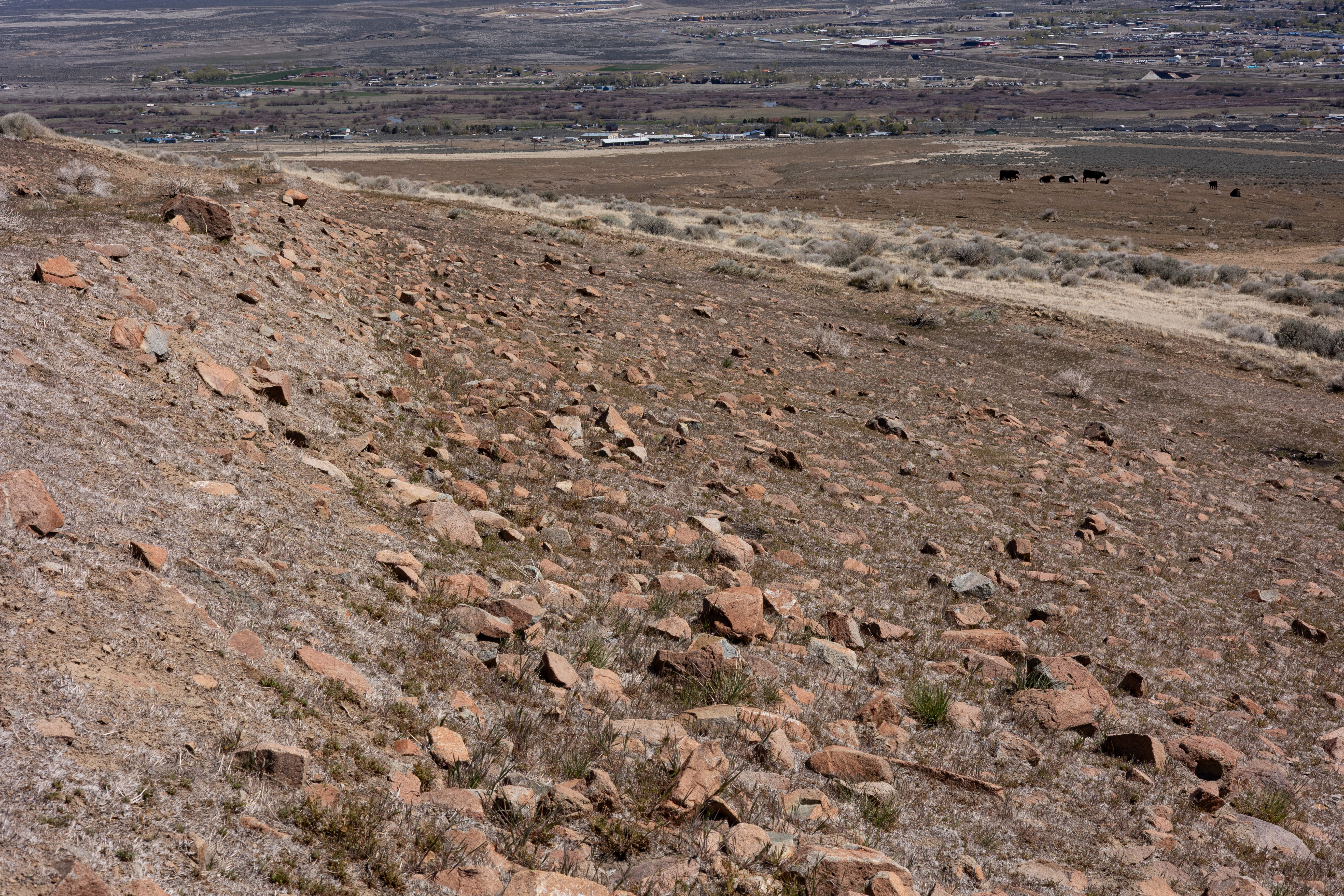 The Winna-Winner Claims — site photograph _61_6163