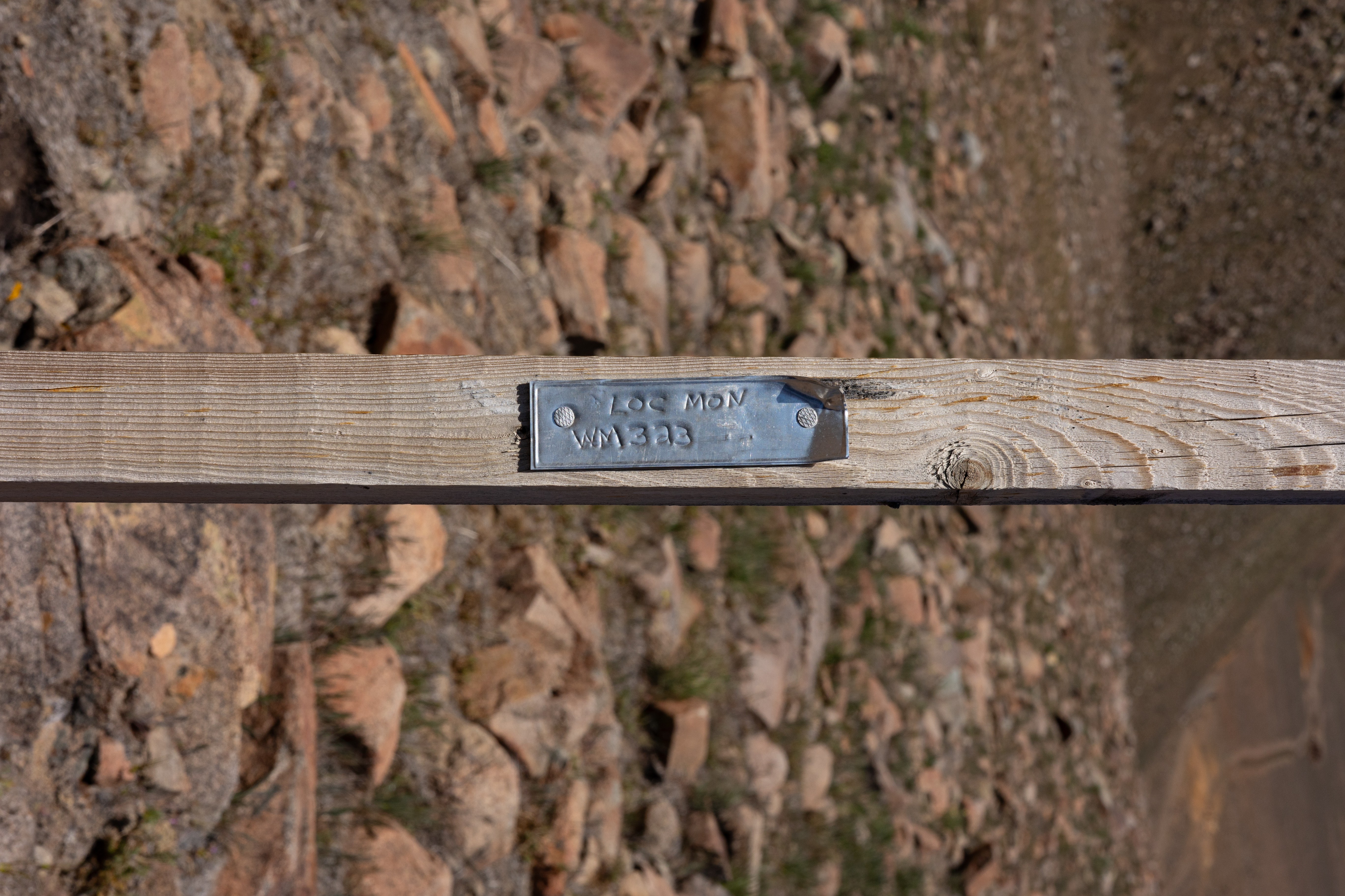 The Winna-Winner Claims — site photograph _61_6176