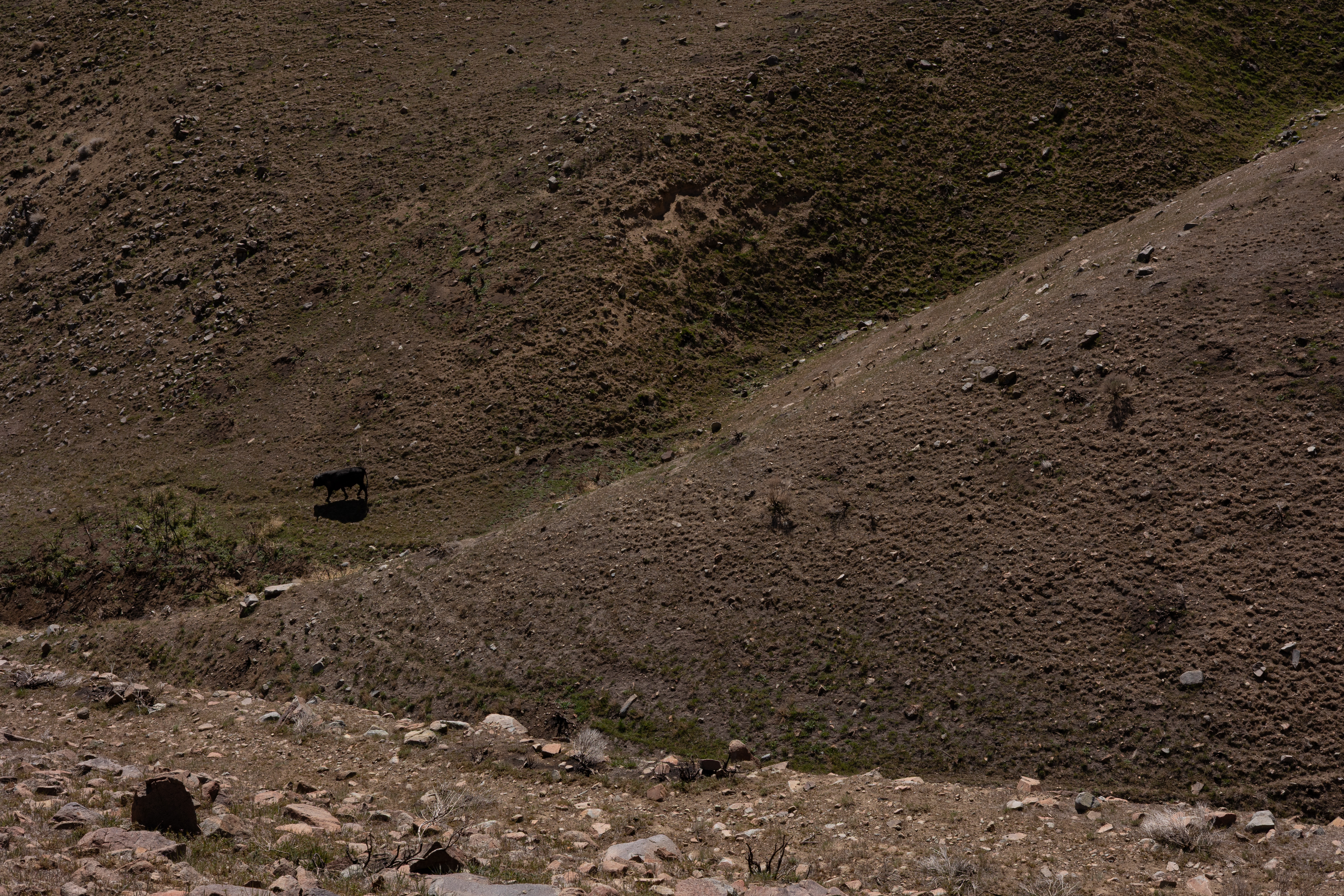 The Winna-Winner Claims — site photograph _61_6179