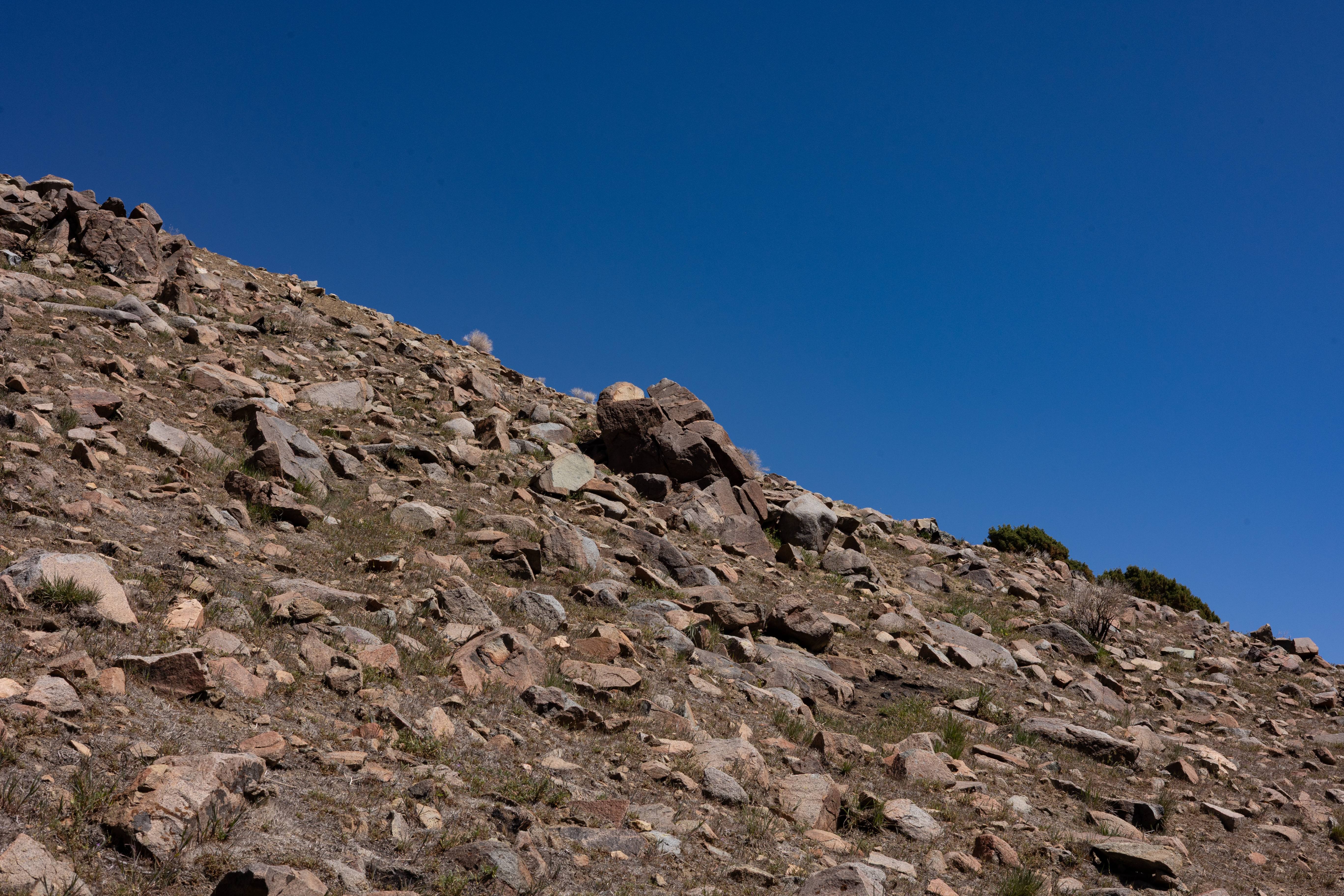 The Winna-Winner Claims — site photograph _61_6182