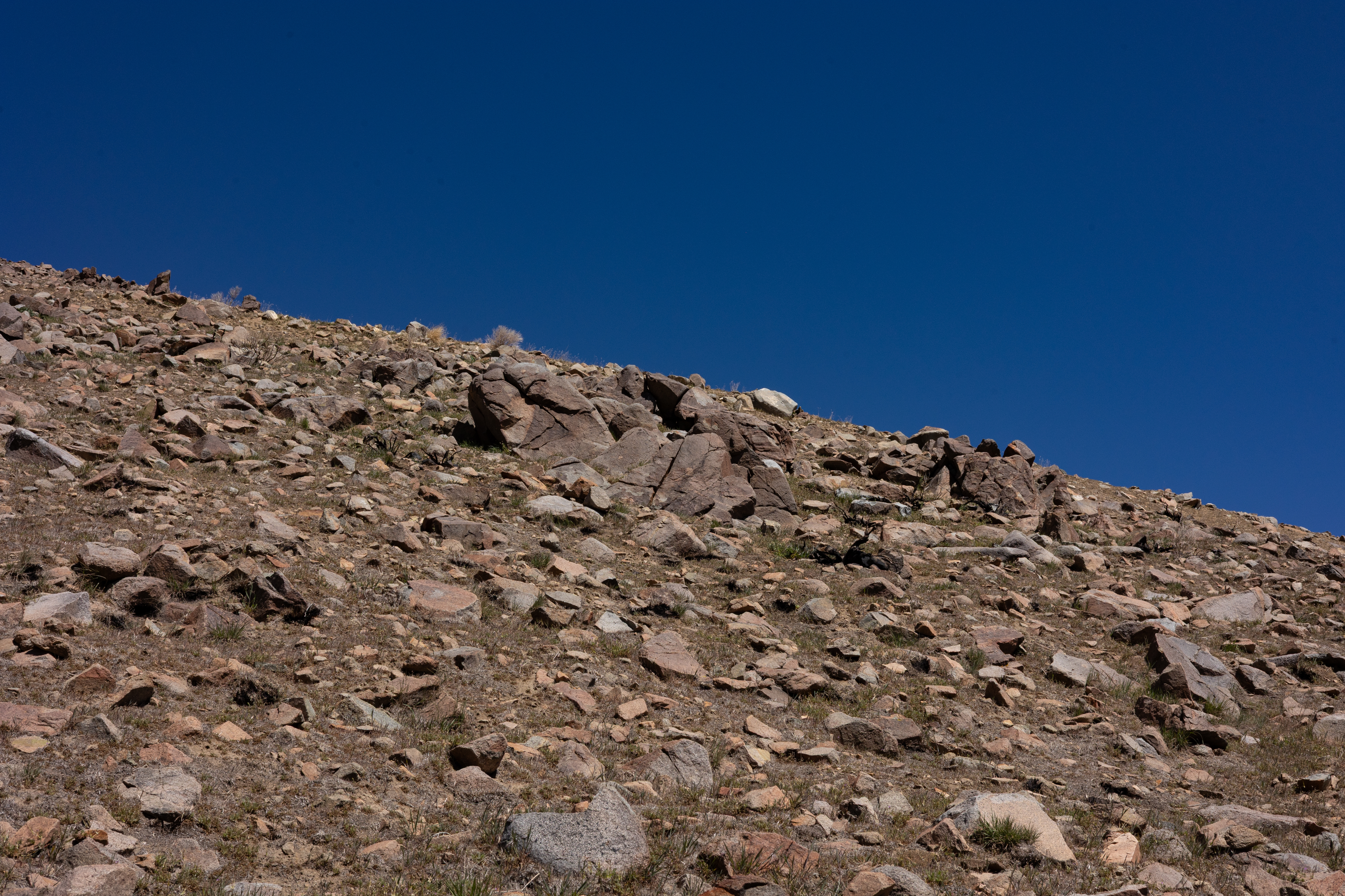 The Winna-Winner Claims — site photograph _61_6183