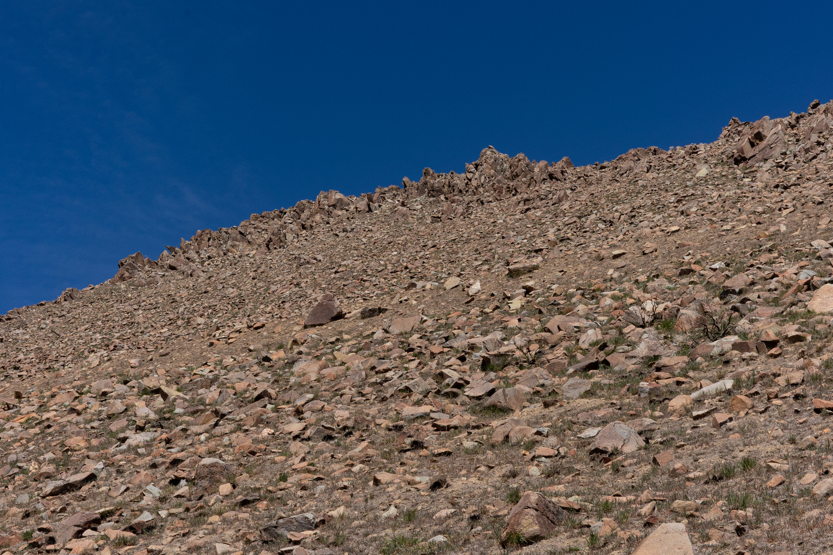 The Winna-Winner Claims — site photograph _61_6190