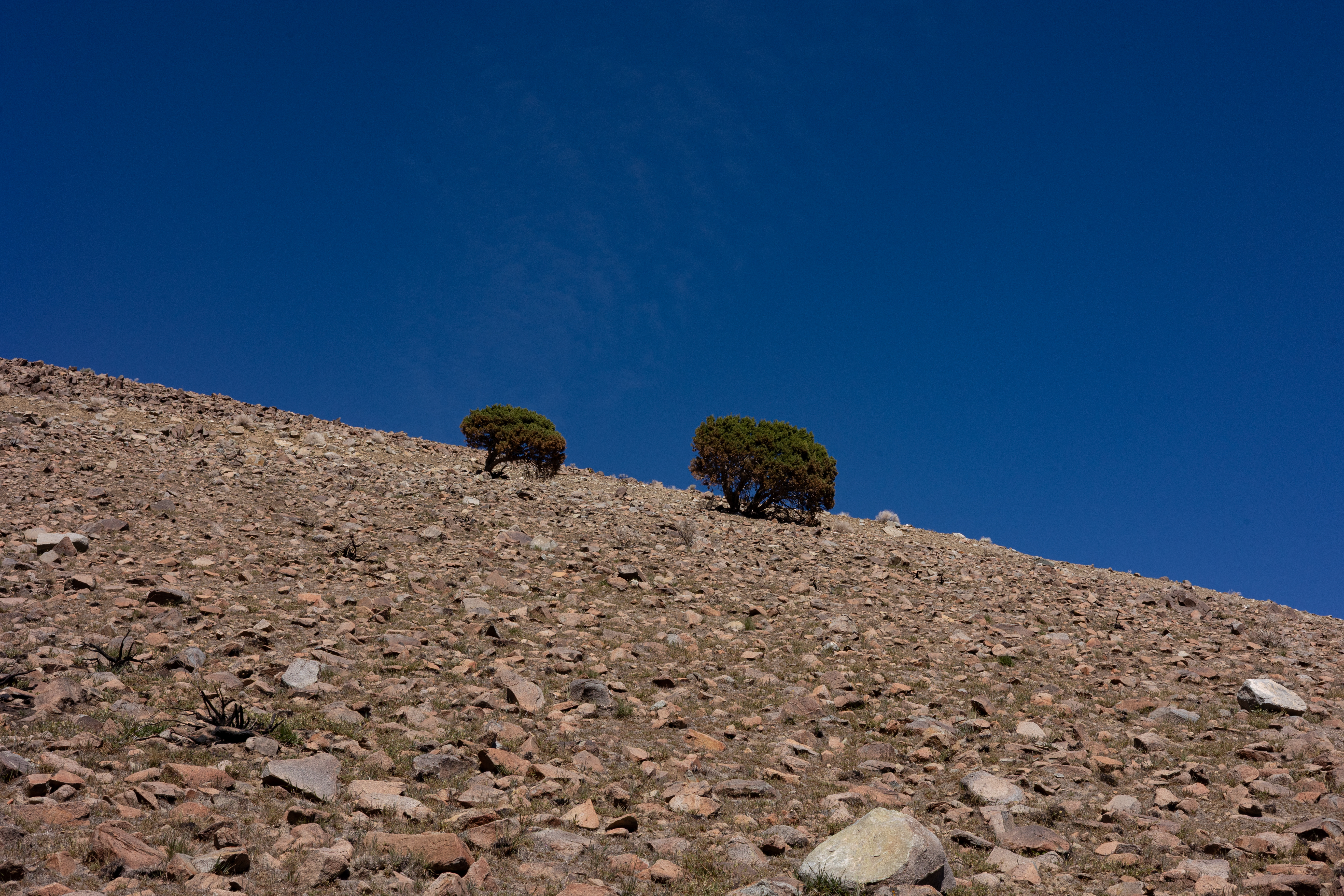 The Winna-Winner Claims — site photograph _61_6203