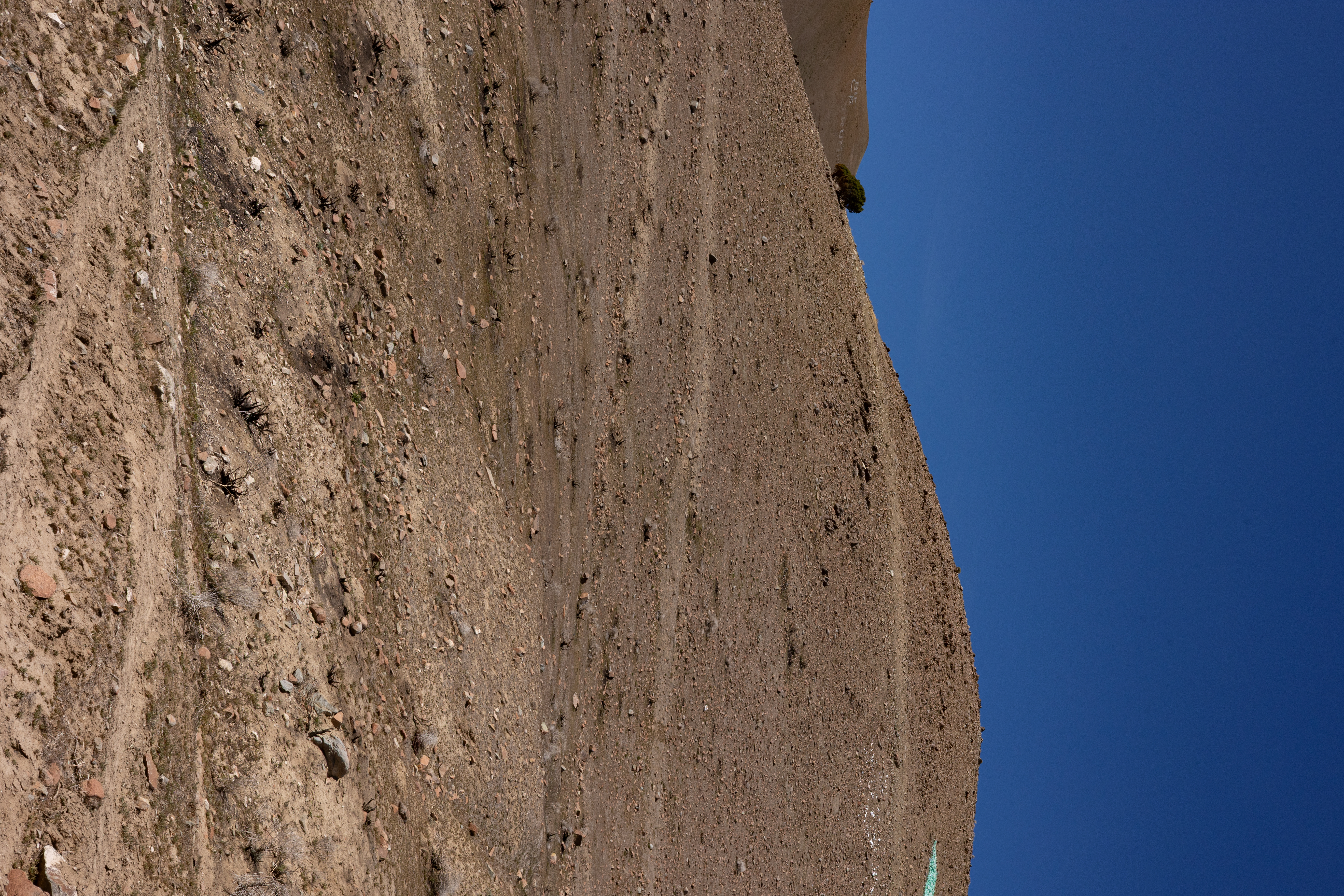 The Winna-Winner Claims — site photograph _61_6218
