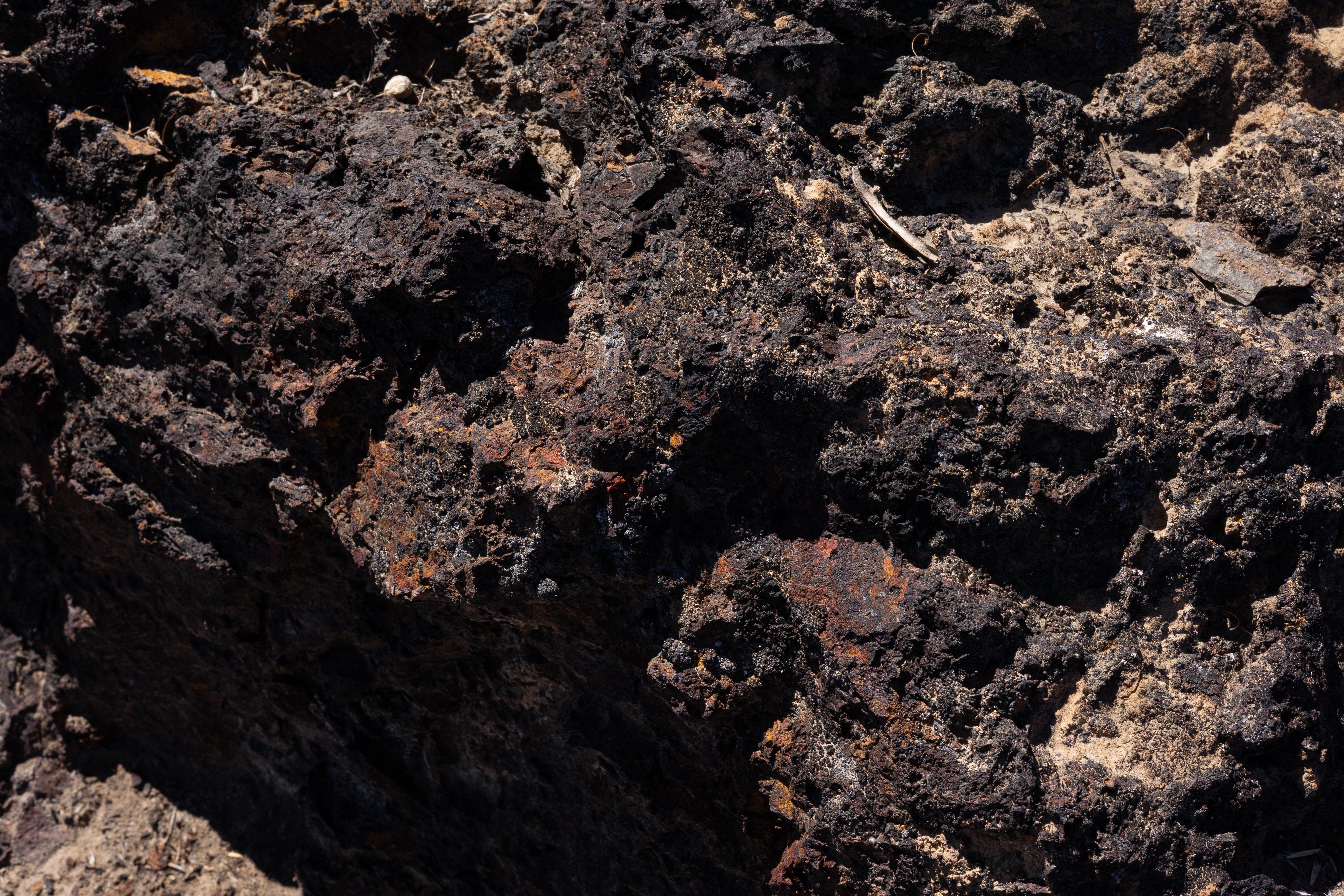 The Winna-Winner Claims — site photograph _61_6221