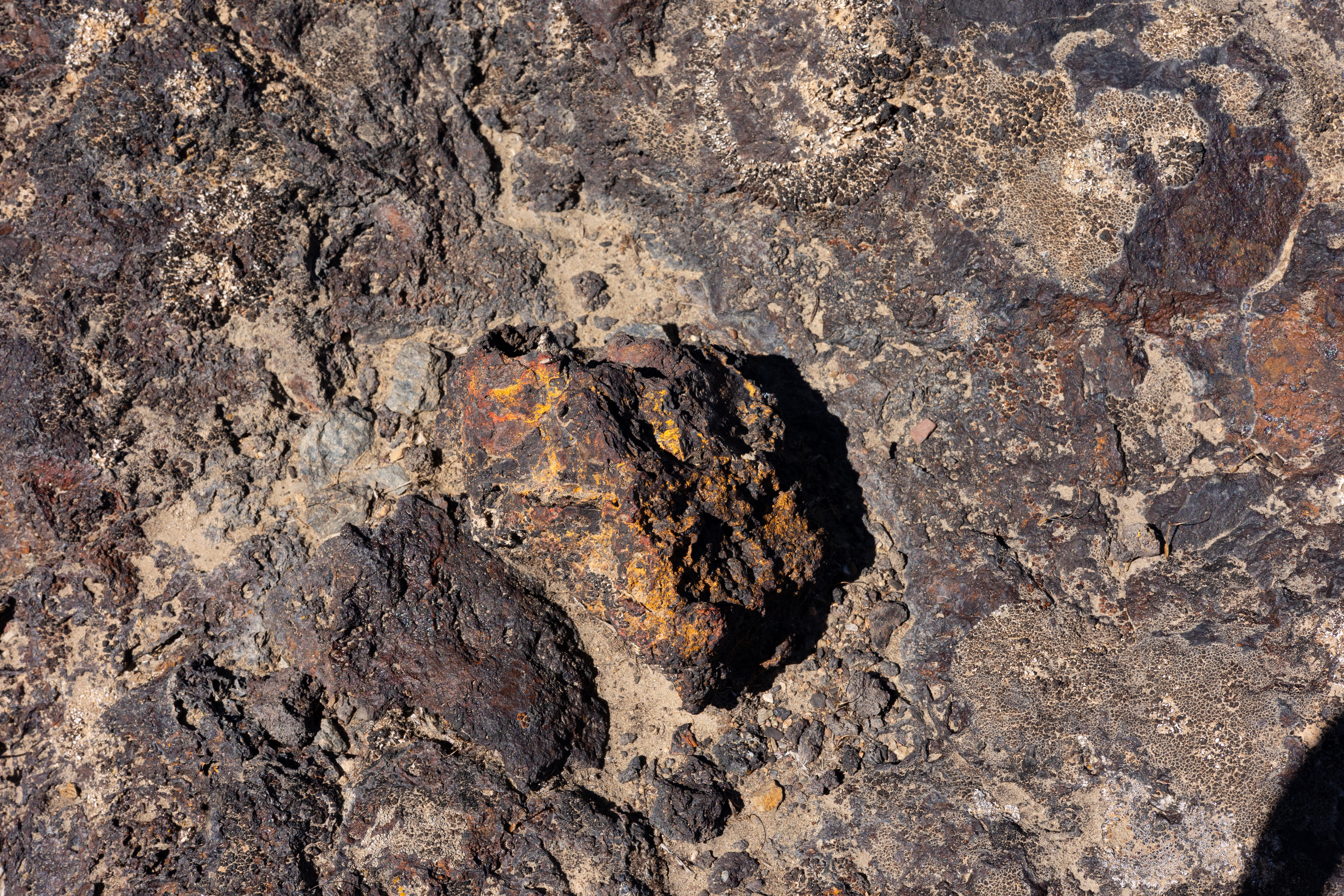 The Winna-Winner Claims — site photograph _61_6223