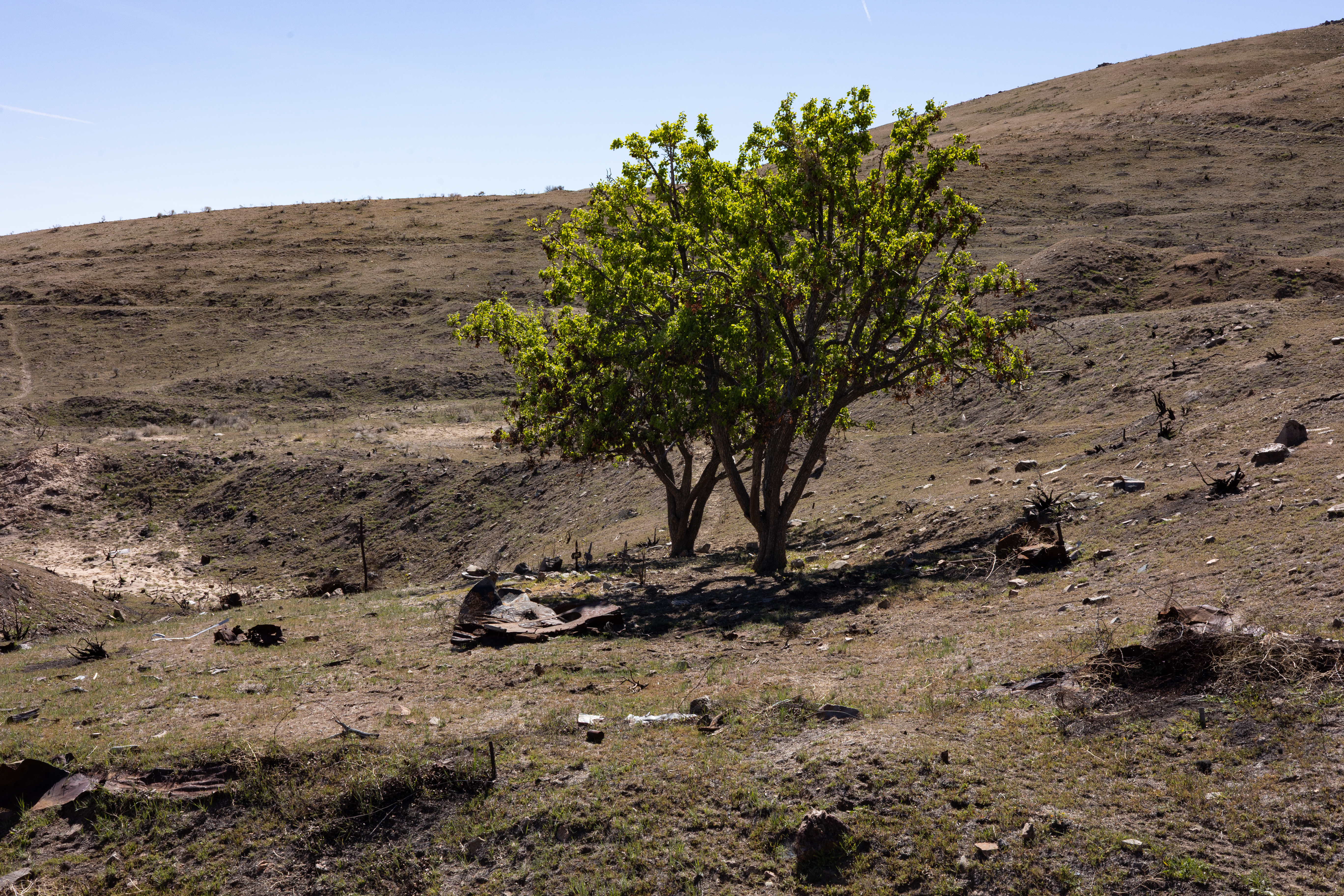 The Winna-Winner Claims — site photograph _61_6224