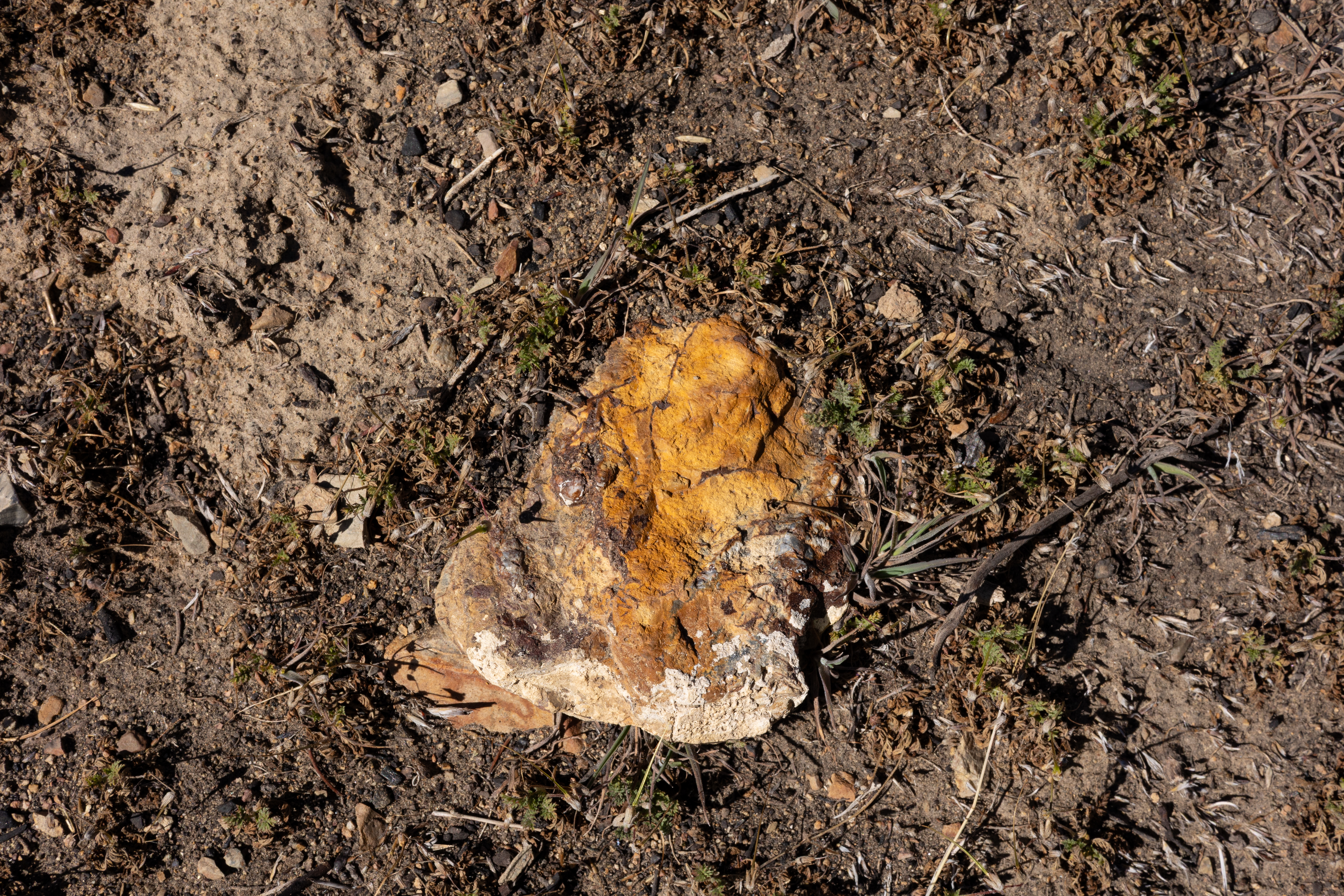 The Winna-Winner Claims — site photograph _61_6228