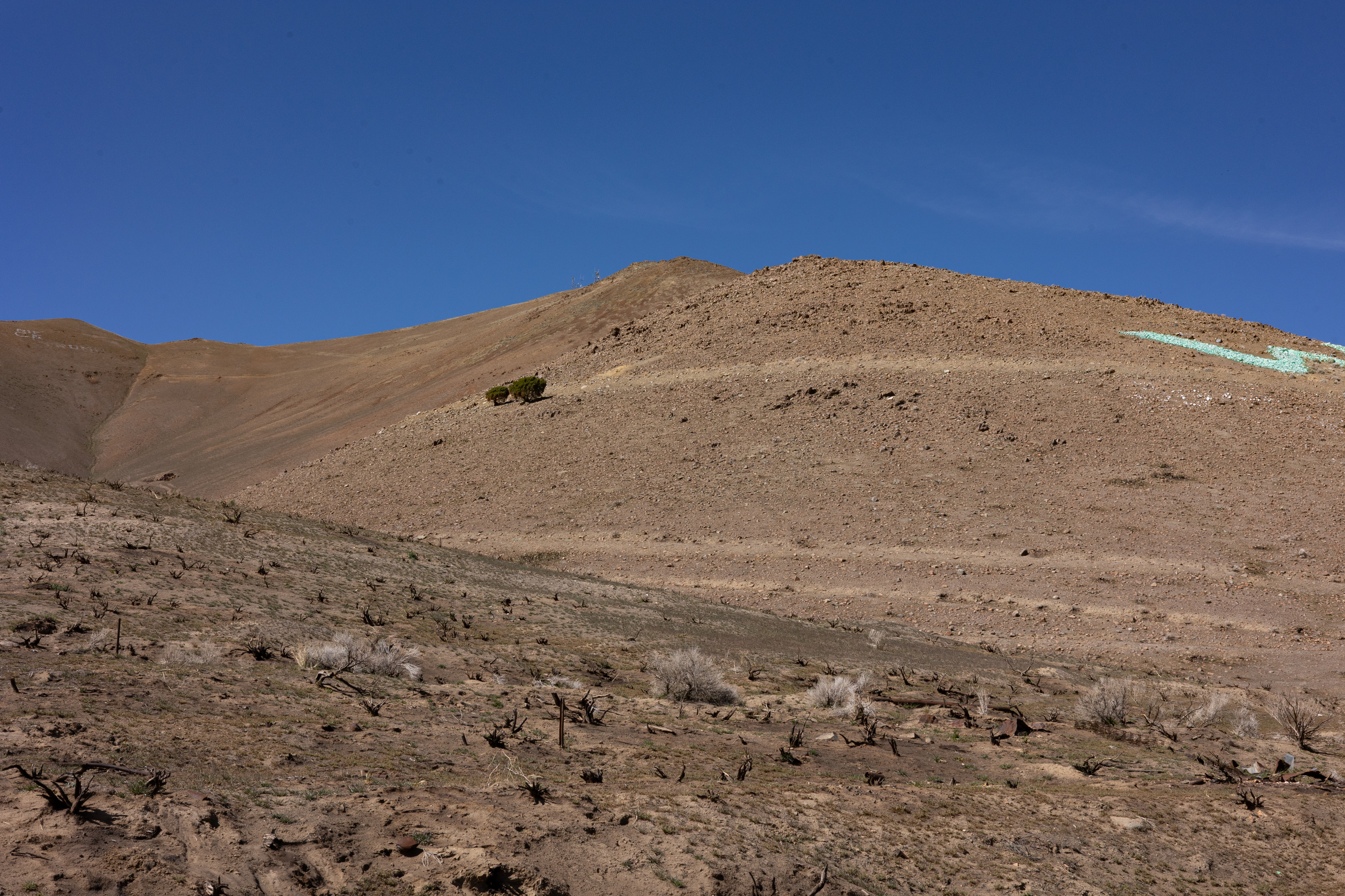 The Winna-Winner Claims — site photograph _61_6230