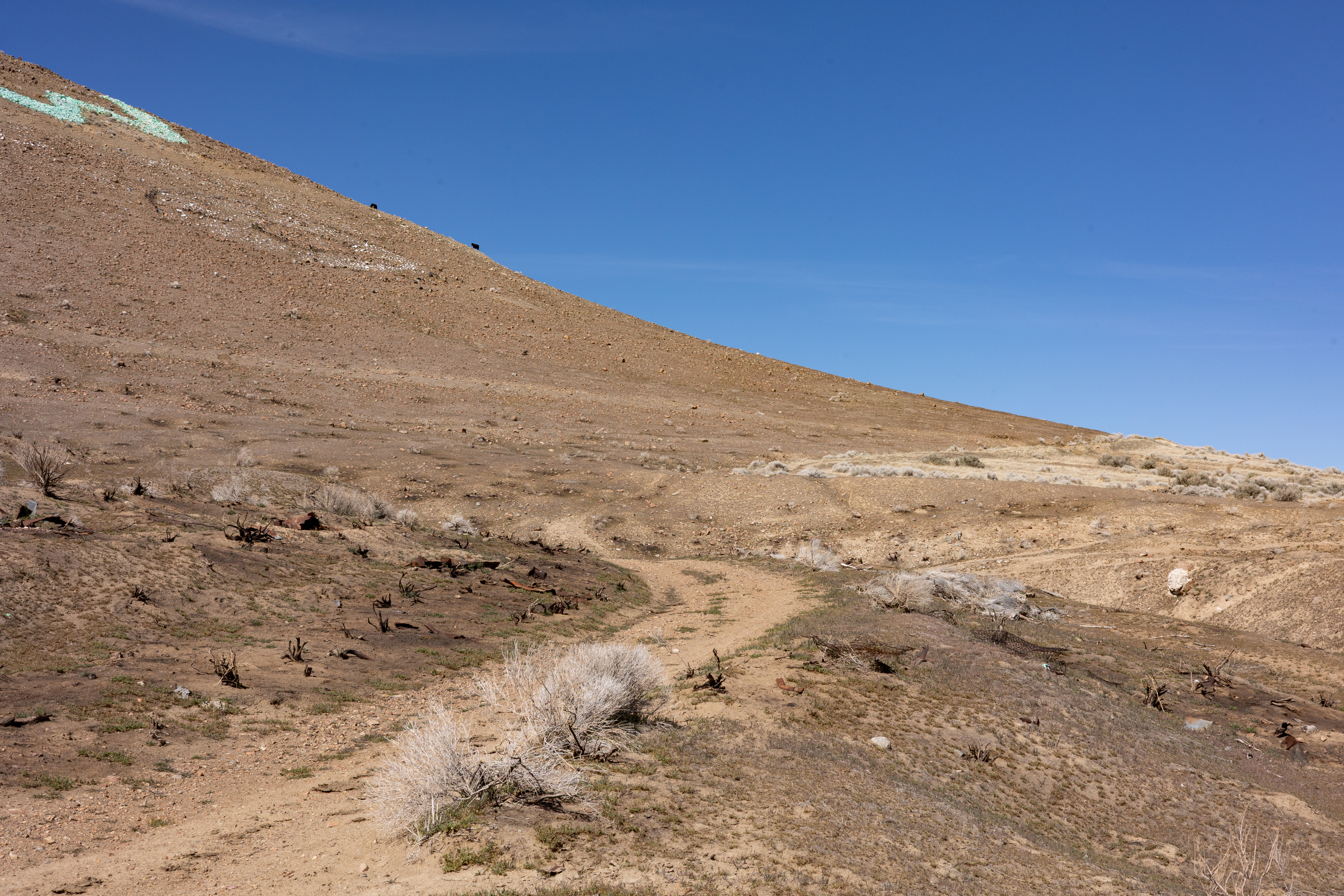 The Winna-Winner Claims — site photograph _61_6231